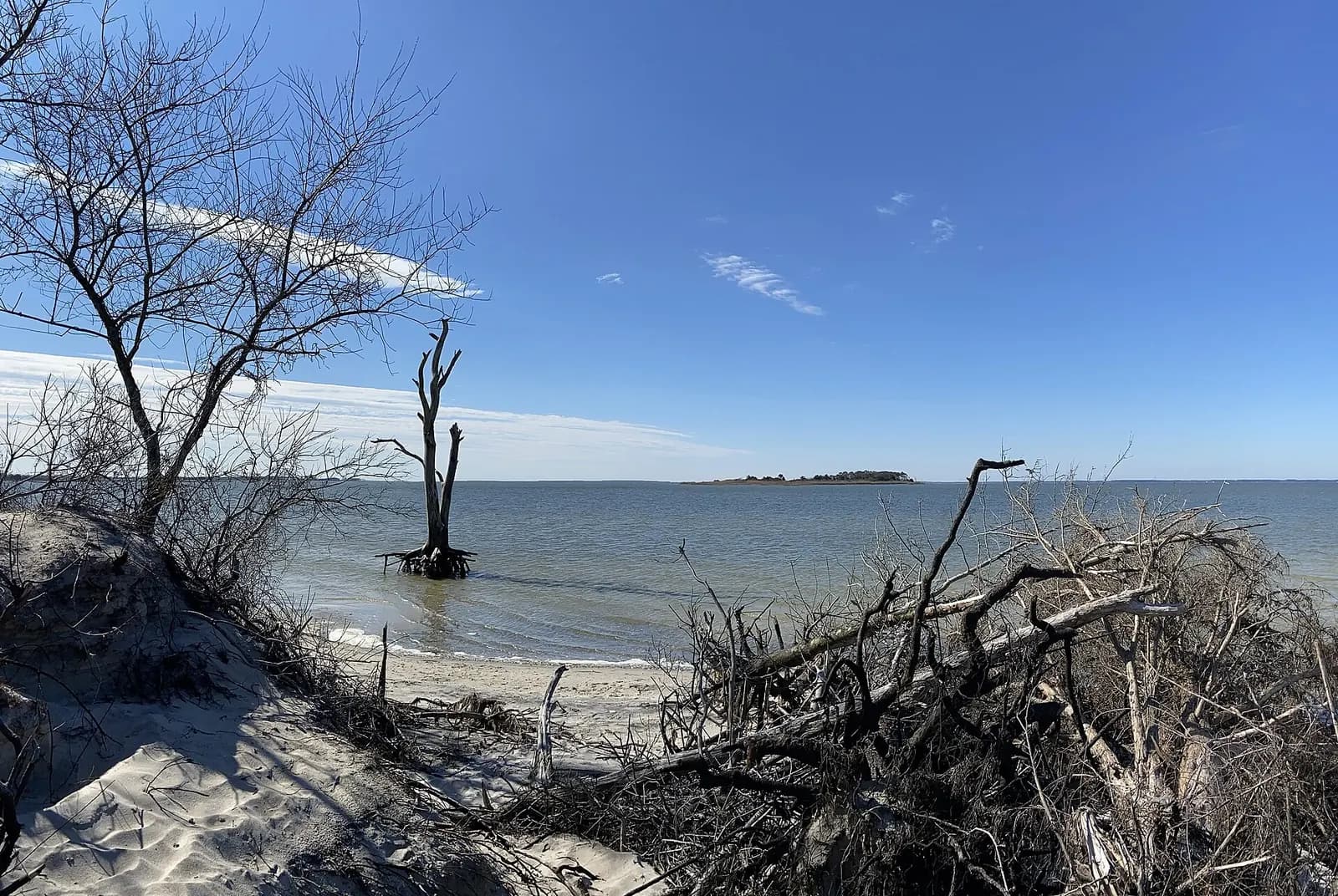 Assateague Island, Maryland (mid-Atlantic coast) - one of the best beaches in America