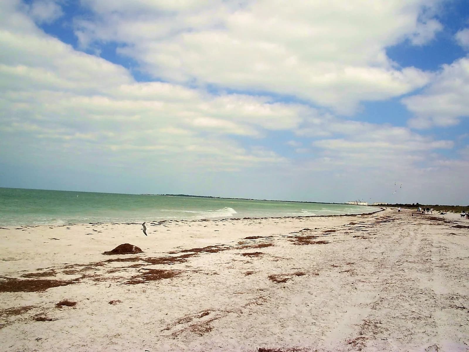 Caladesi Island State Park, Dunedin, Gulf Coast - one of the best beaches in Florida