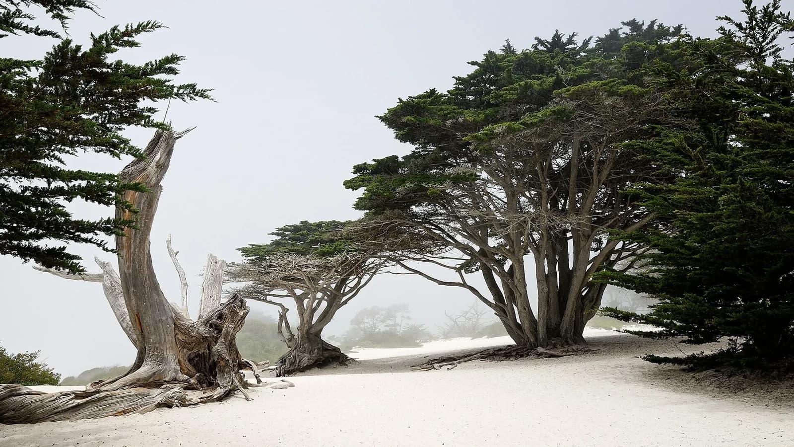 Carmel Beach, Carmel-by-the-Sea, Monterey Peninsula - one of the best beaches in California