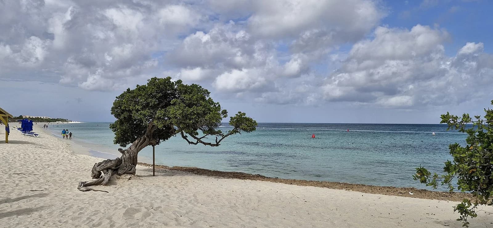 Eagle Beach, Palm Beach area, Aruba - one of the best beaches in the Caribbean