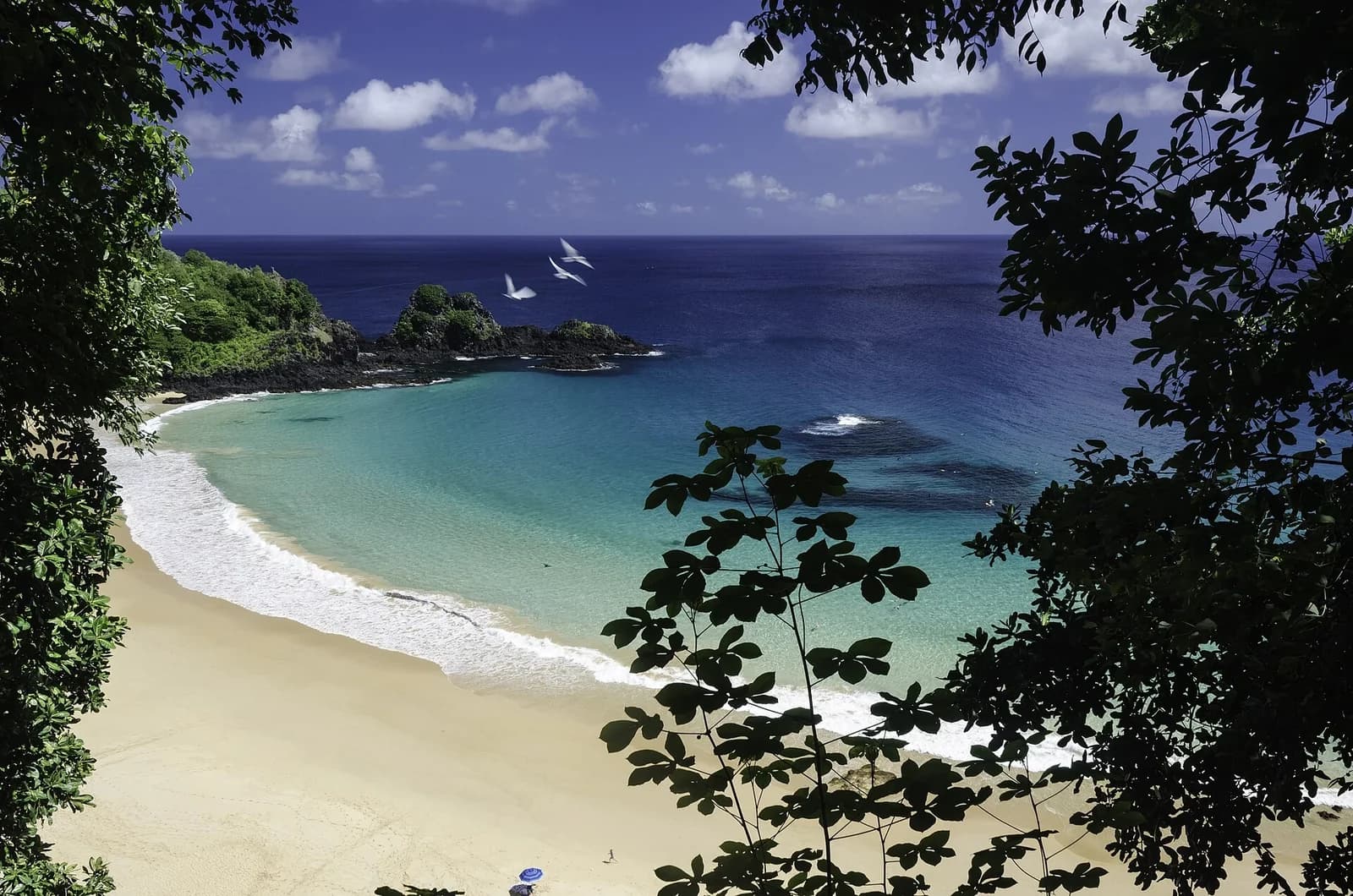Baia do Sancho, Fernando de Noronha, Brazil - sweeping bay framed by foliage with tropicbirds in flight