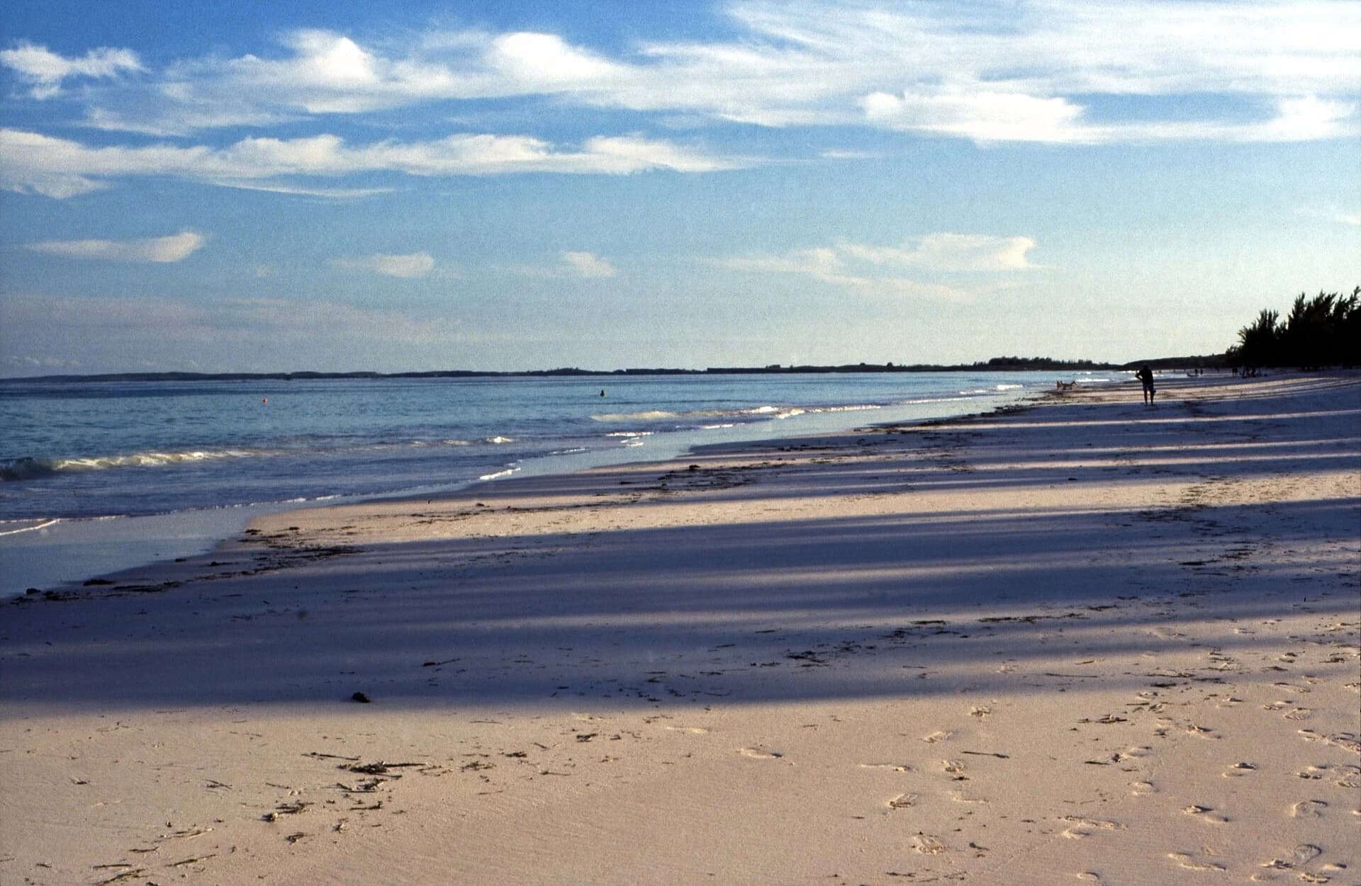 Pink Sands Beach, Harbour Island, Bahamas — wide, quiet stretch of pink sand in low afternoon light