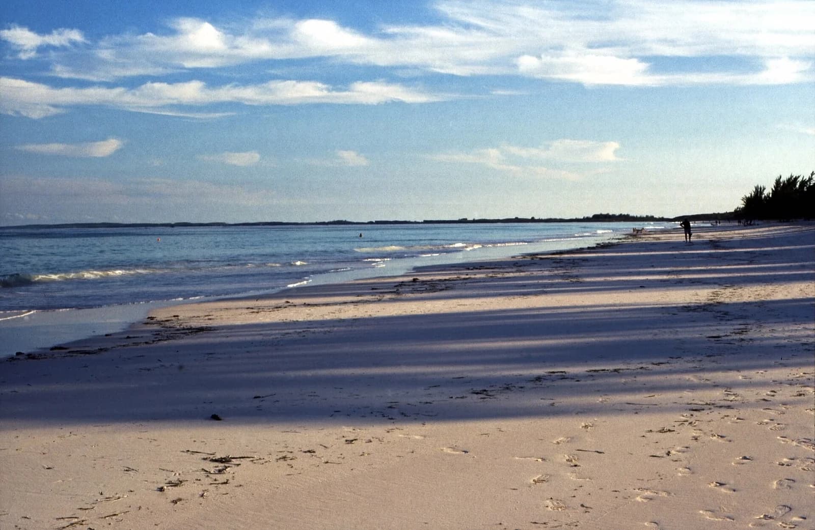 Pink Sands Beach, Harbour Island, Bahamas - wide, quiet stretch of pink sand in low afternoon light