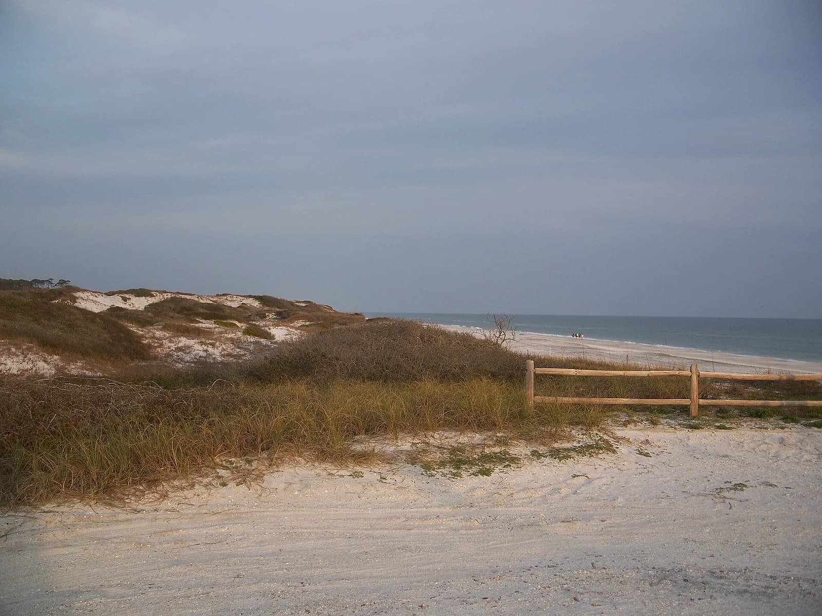 Grayton Beach State Park, South Walton, Panhandle - one of the best beaches in Florida