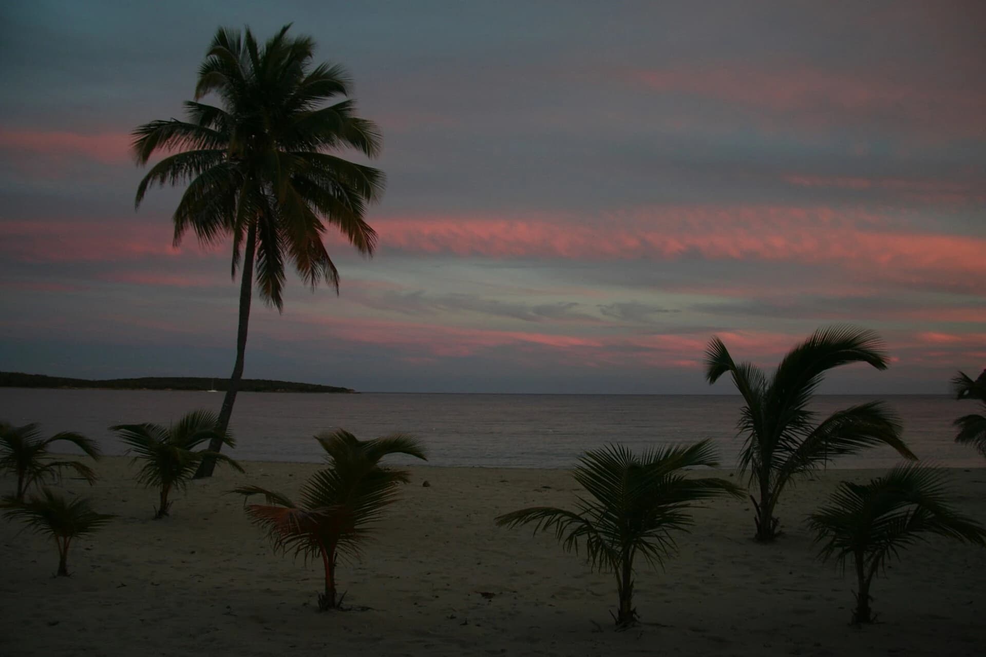Sun Bay & Playa Caracas, Vieques island, ferry from Ceiba - one of the best beaches in Puerto Rico