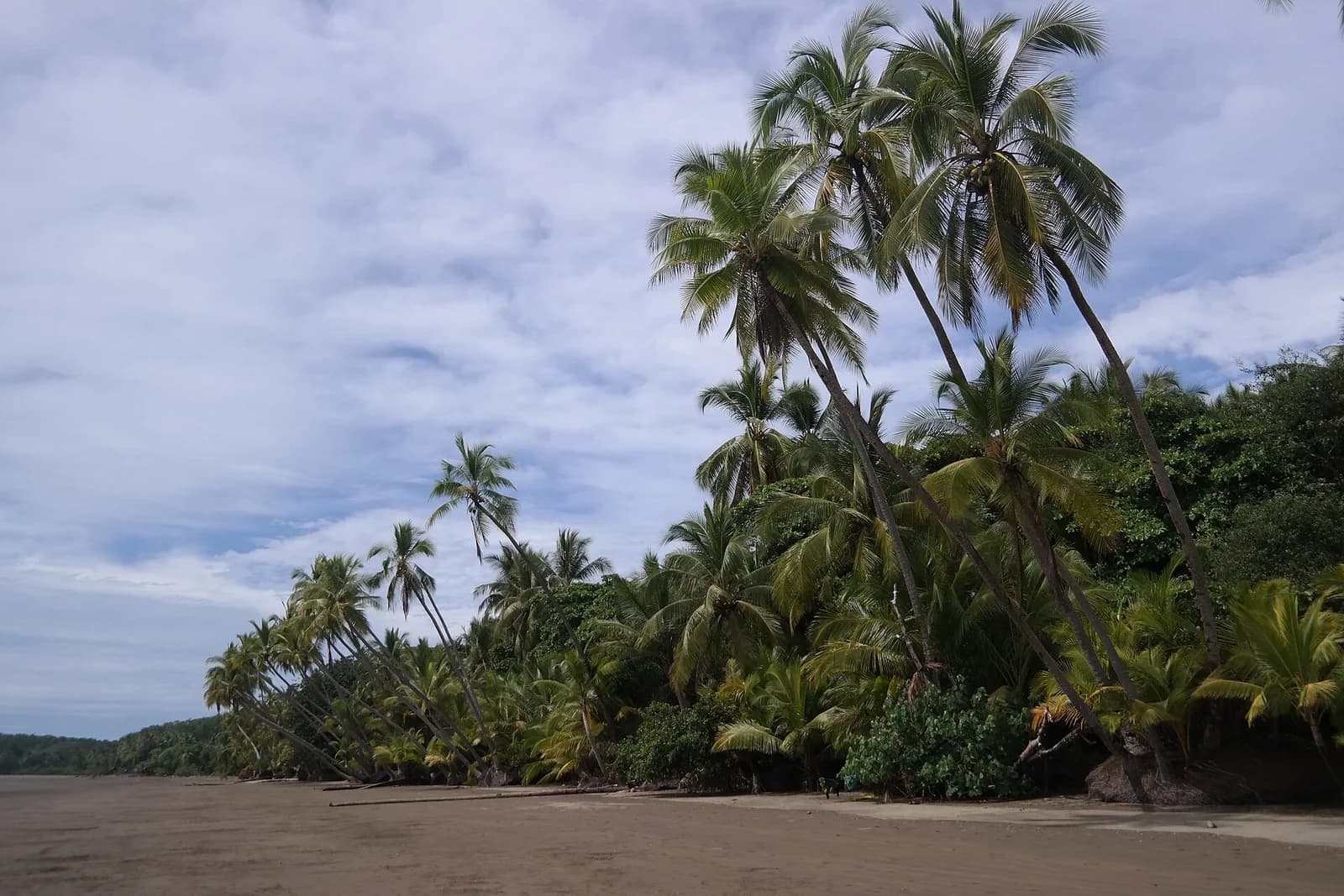 Uvita (Marino Ballena), Costa Ballena, southern Pacific - one of the best beaches in Costa Rica