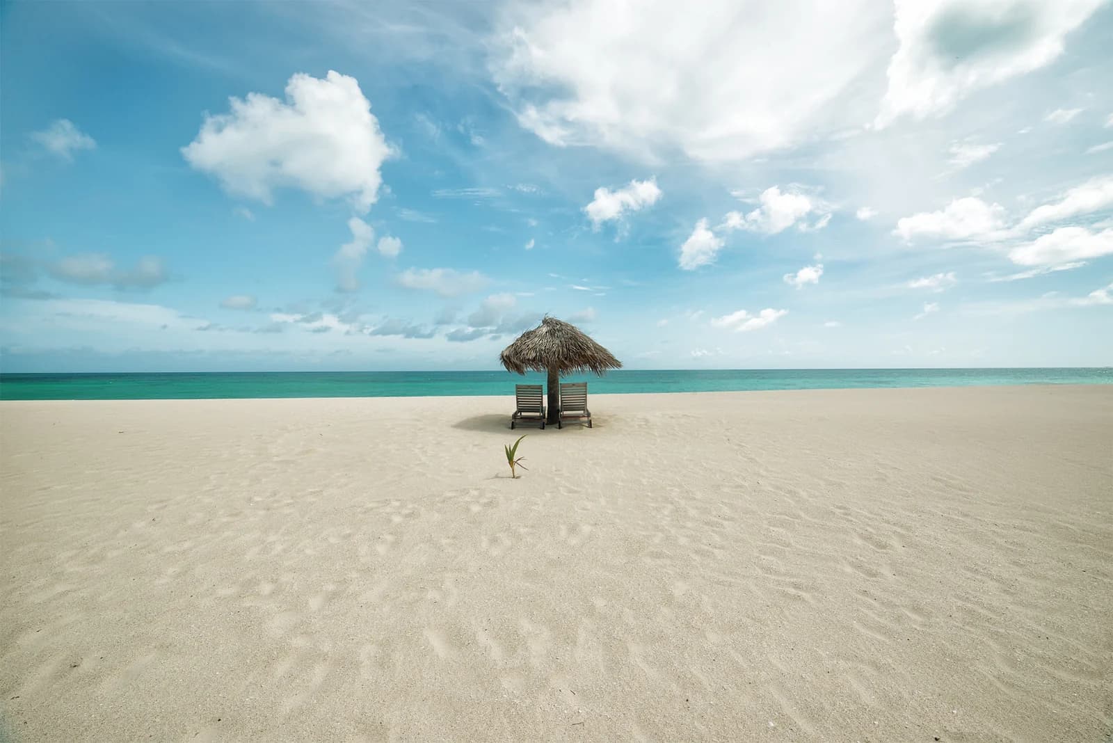 A thatched sunshade and two loungers on a wide sand beach on Barbuda