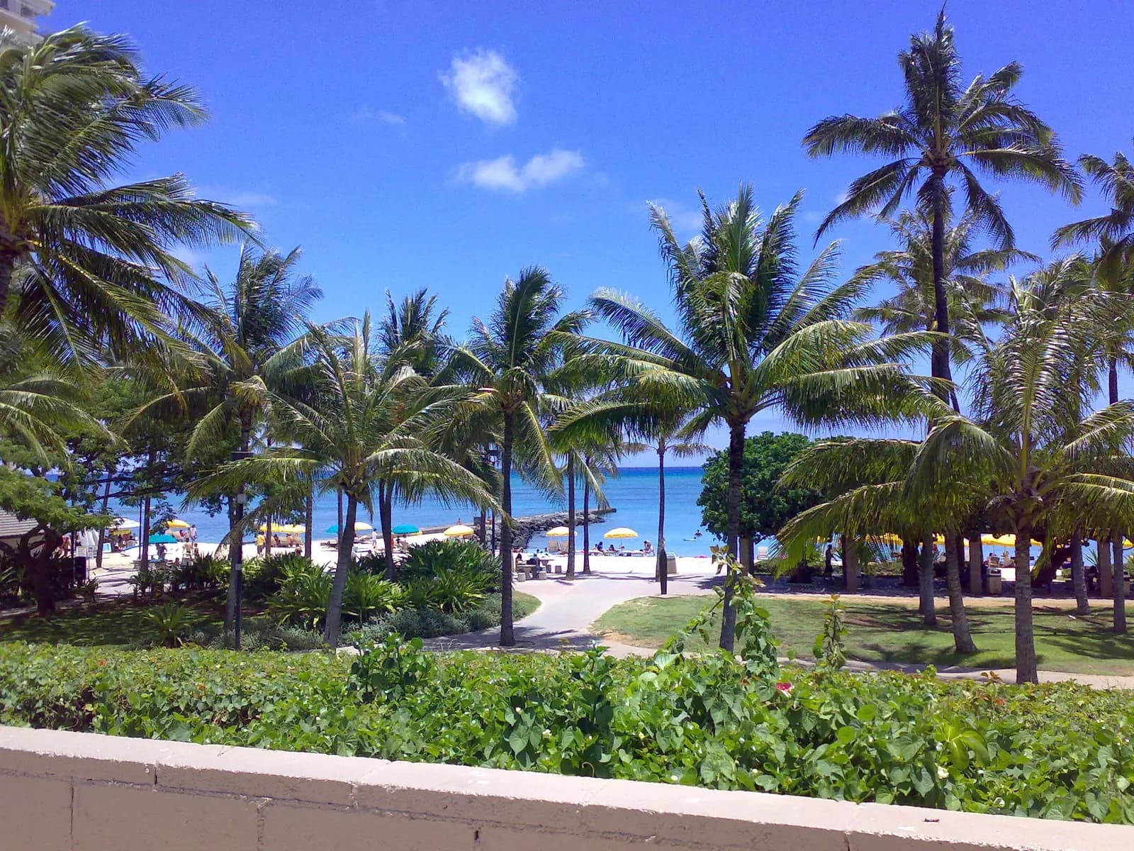 The quiet western end of Waikiki beach by Fort DeRussy, seen from the army museum