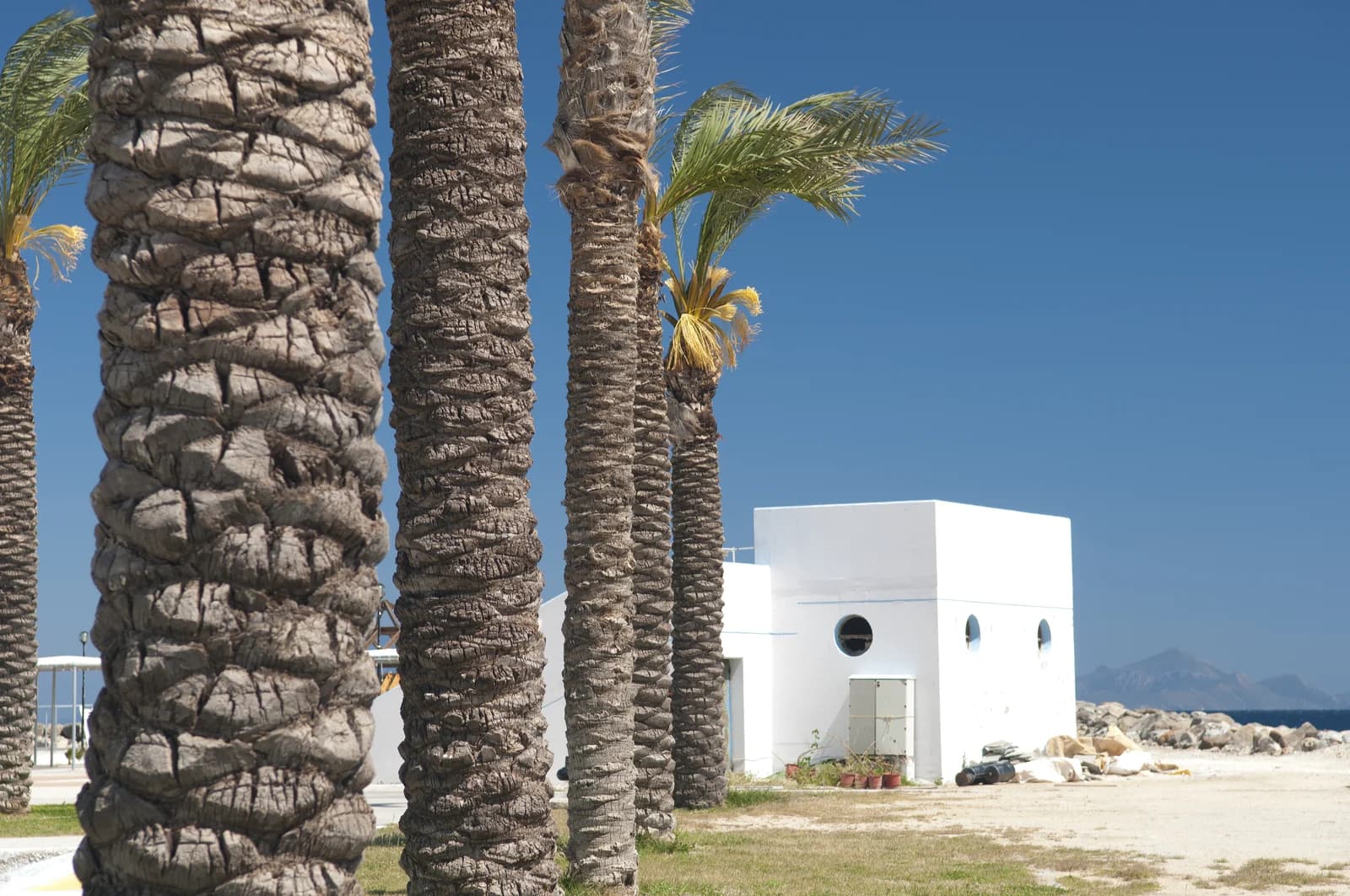 Palm trees on the seafront at Kardamena on the south coast of Kos, with the island of Nisyros on the horizon