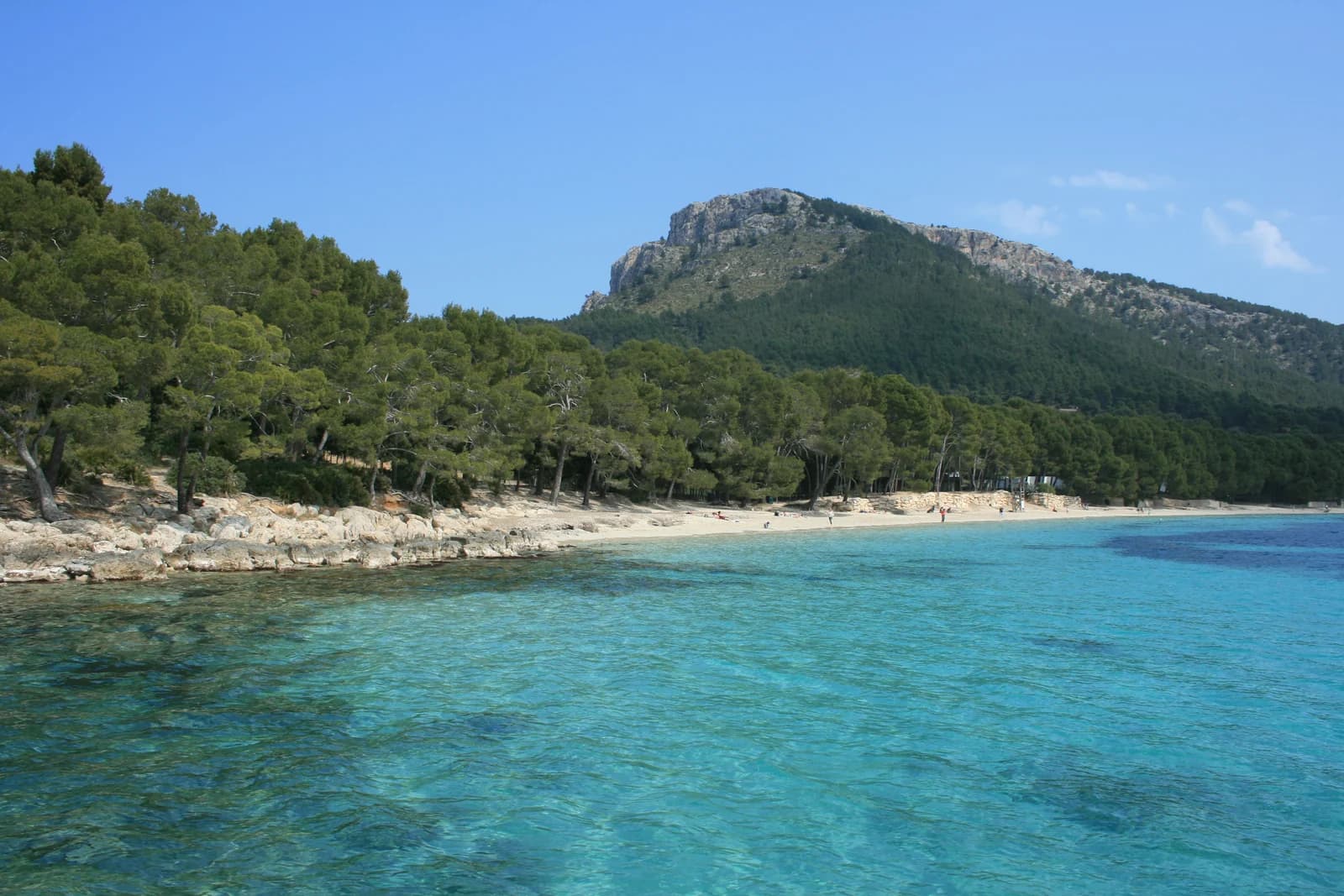 Clear water and pine trees at Platja de Formentor, the beach on Majorca's northern peninsula