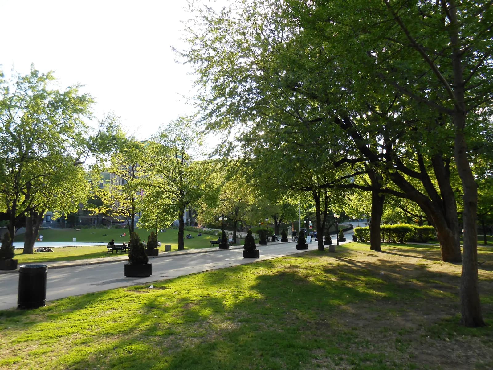 The green of the McGill University campus beside the President-Kennedy hotels