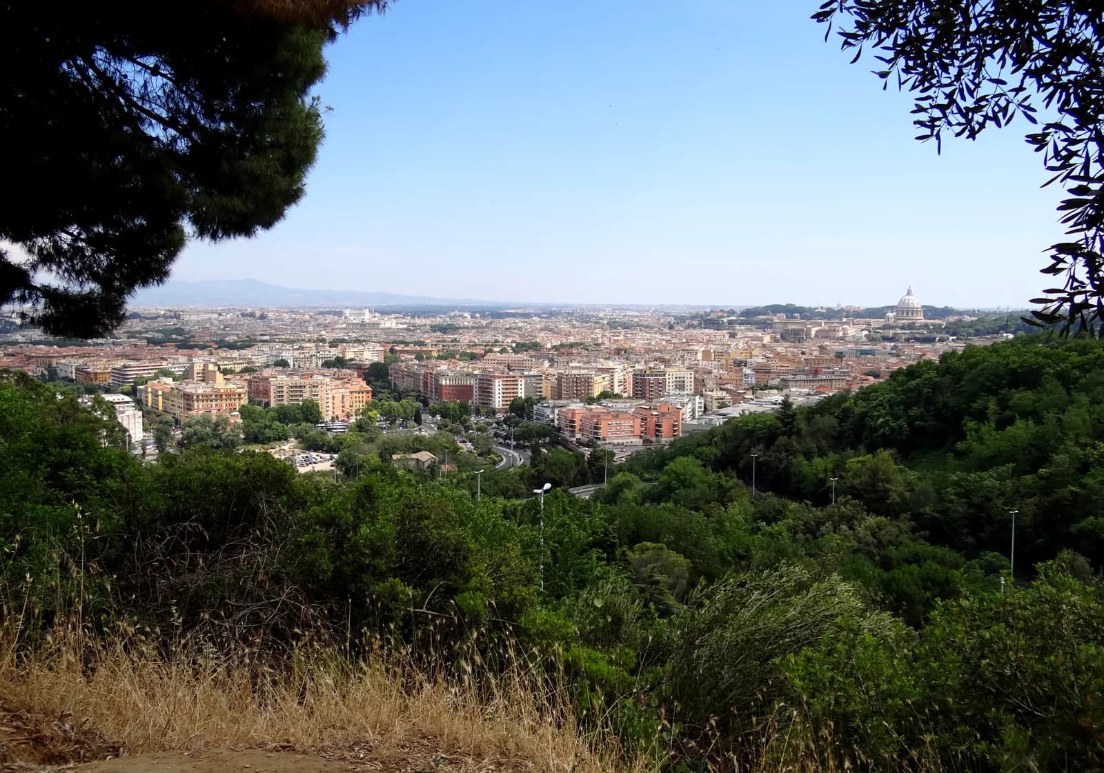 Rome seen from the wooded slope of Monte Mario, the hill the city's largest hotel pools sit on