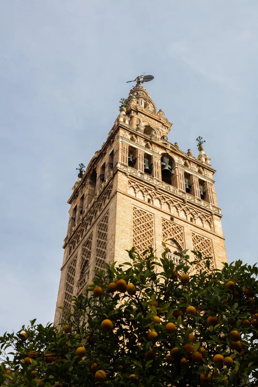 The Giralda bell tower in Seville seen over orange trees