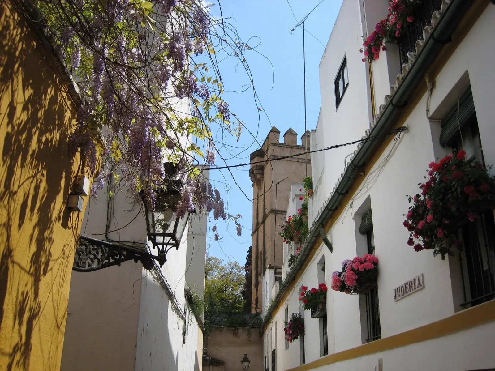 A whitewashed lane hung with flowers in Barrio Santa Cruz, Seville