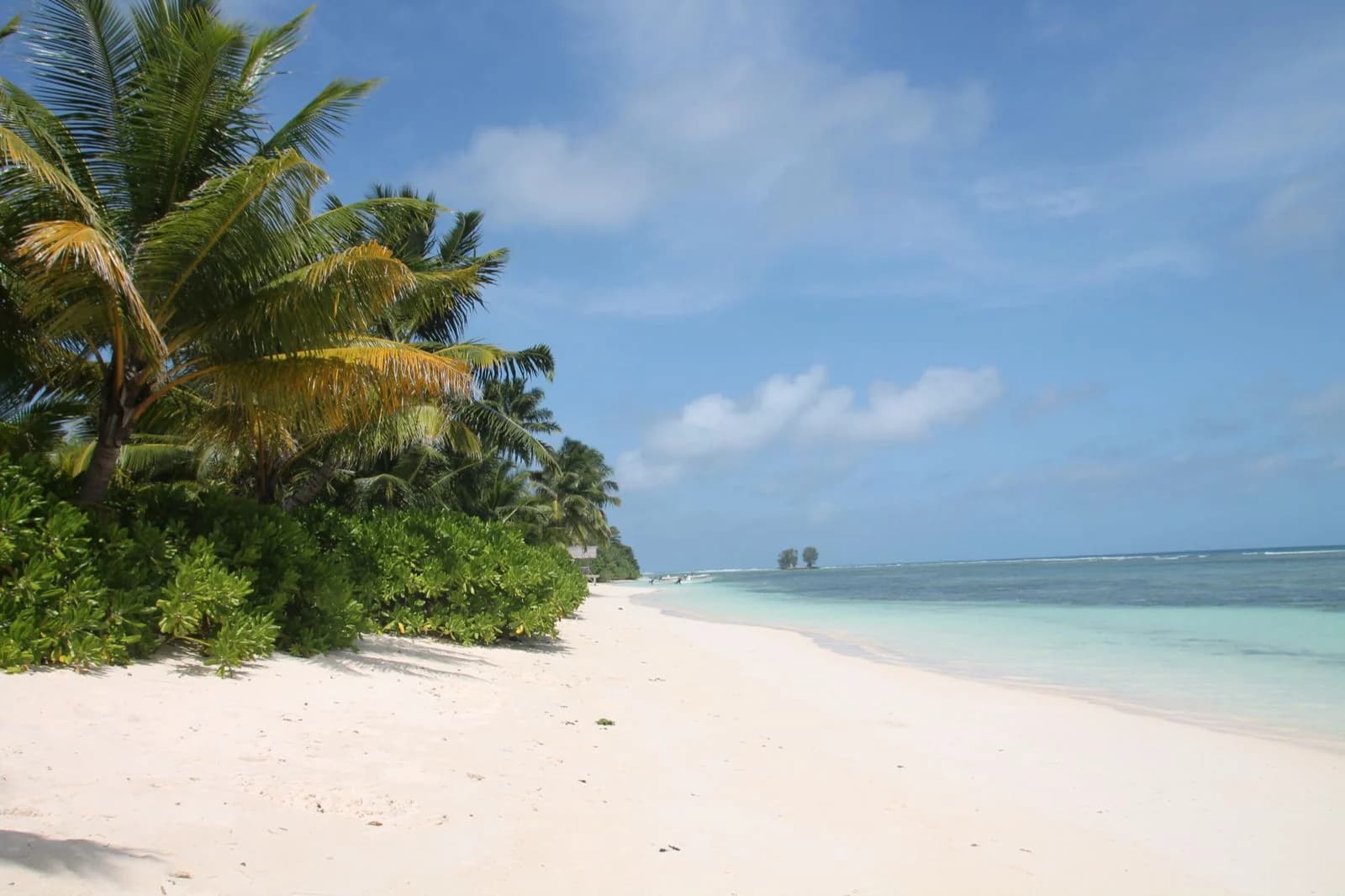 Anse Réunion on La Digue, a palm-lined beach looking out to the neighbouring islands