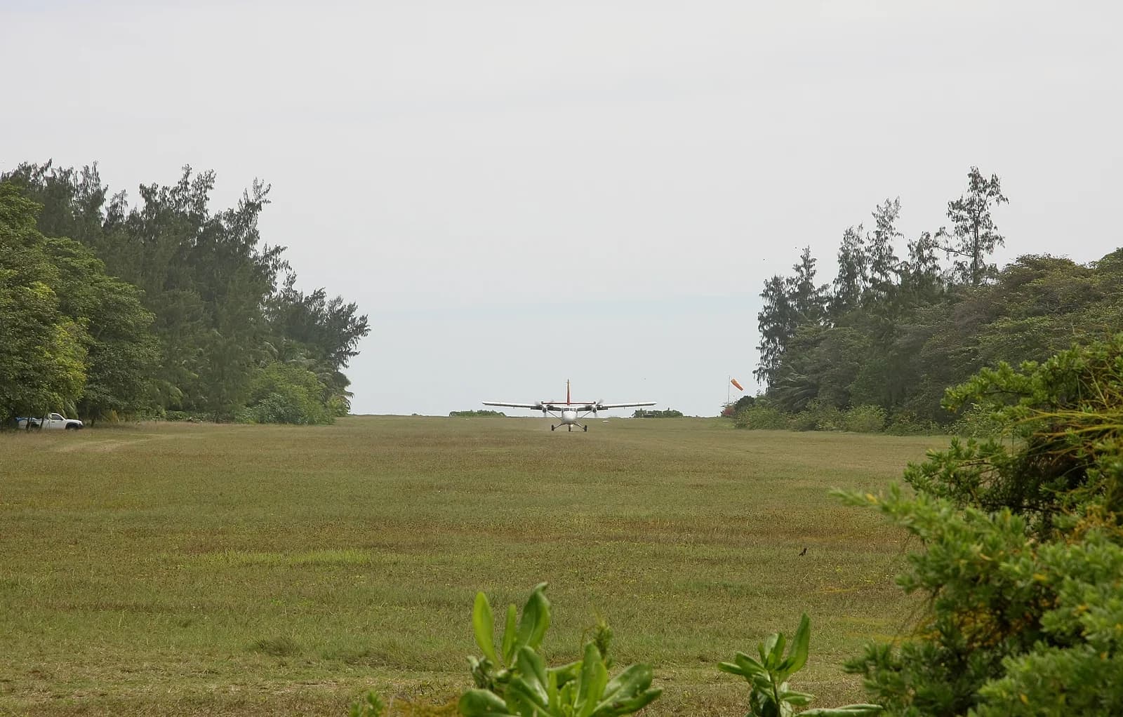 A light aircraft landing on the grass airstrip on Denis Island