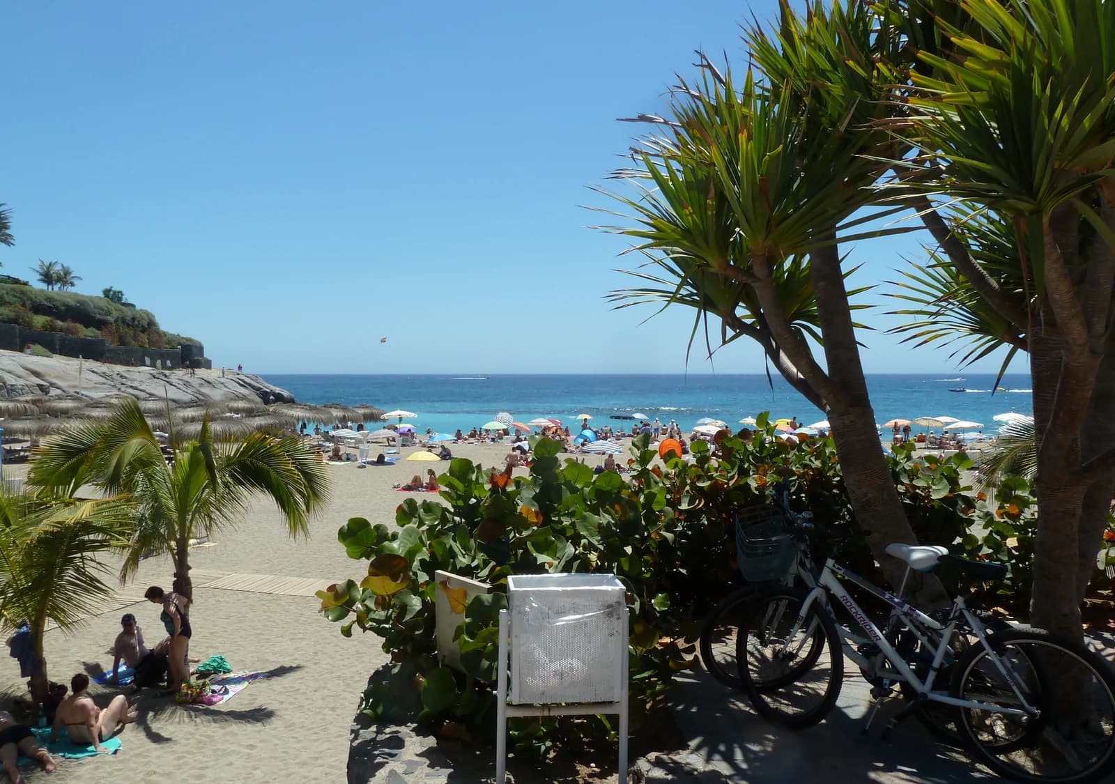 Palms and sunbathers on Playa de Fañabé, the pale-sand family beach in Costa Adeje