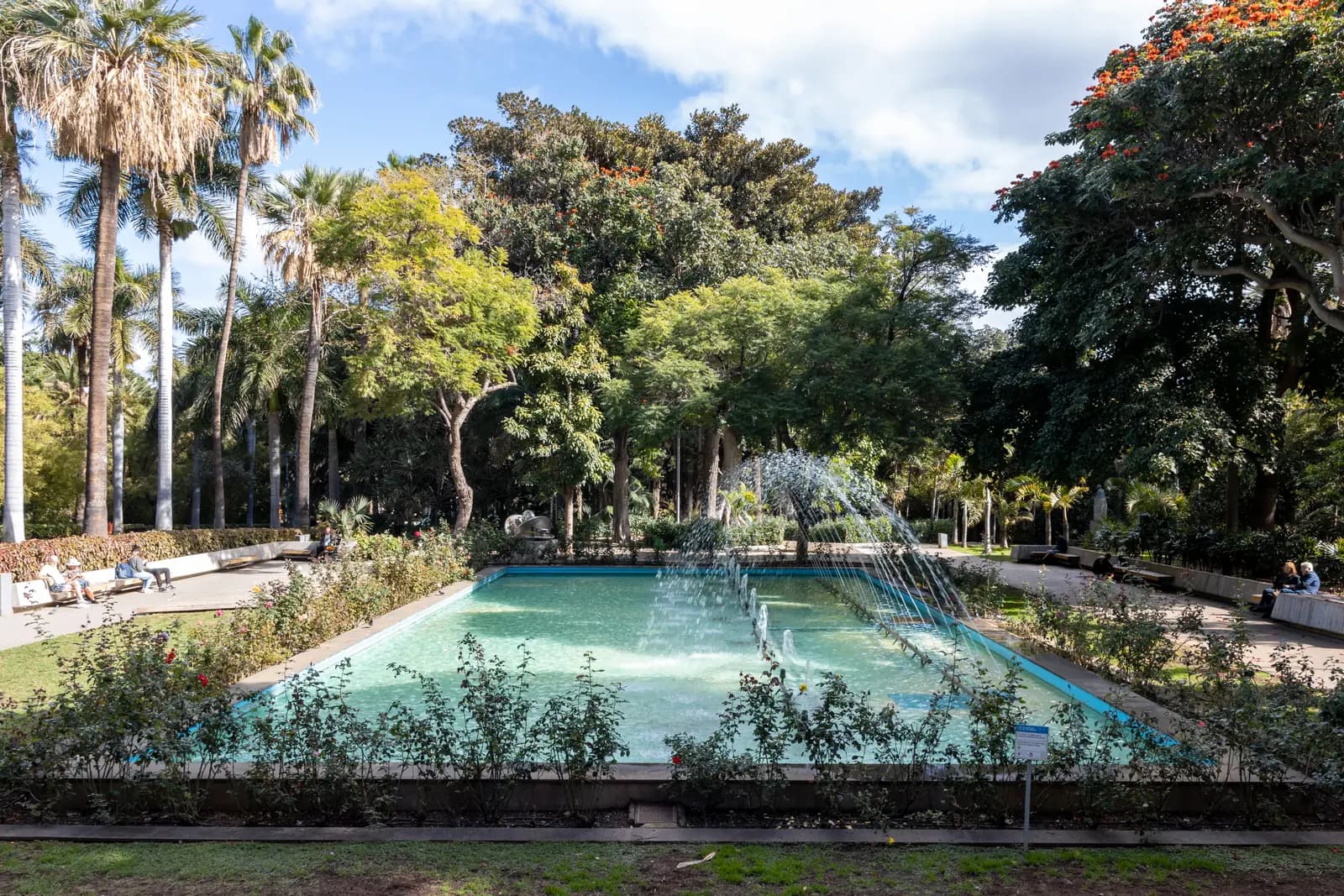 The fountain pool and gardens of Parque García Sanabria, the main park in Santa Cruz de Tenerife