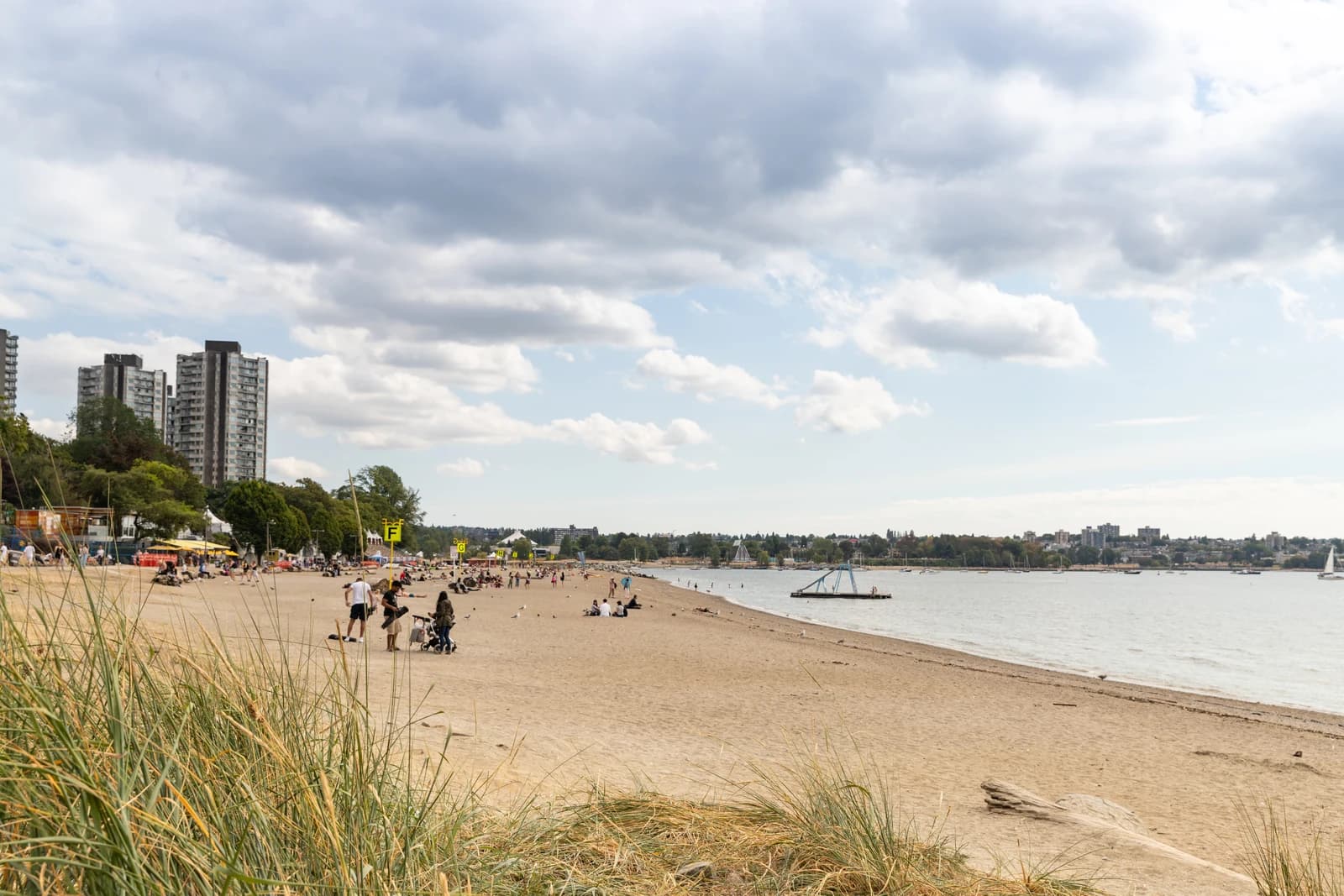 The sand at English Bay Beach in Vancouver, with dune grass and West End towers along the shore