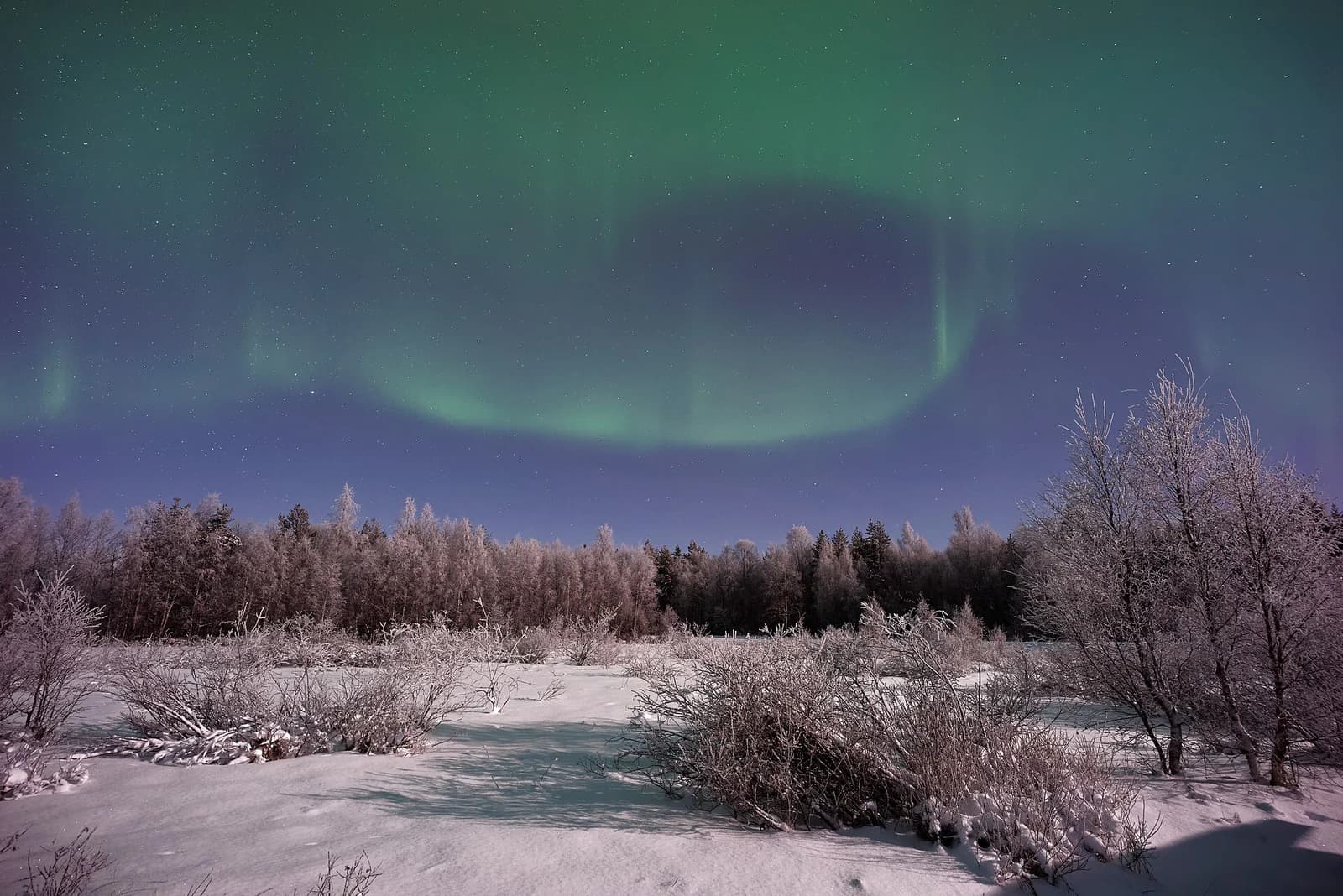 Green aurora borealis over a snow covered field and frosted forest in Finnish Lapland, the sky a glass igloo guest is paying to watch