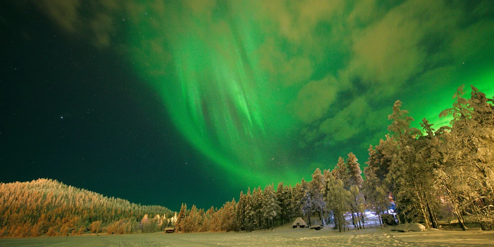 Bright green northern lights over a snow covered field and pine forest at Sirkka in Kittila