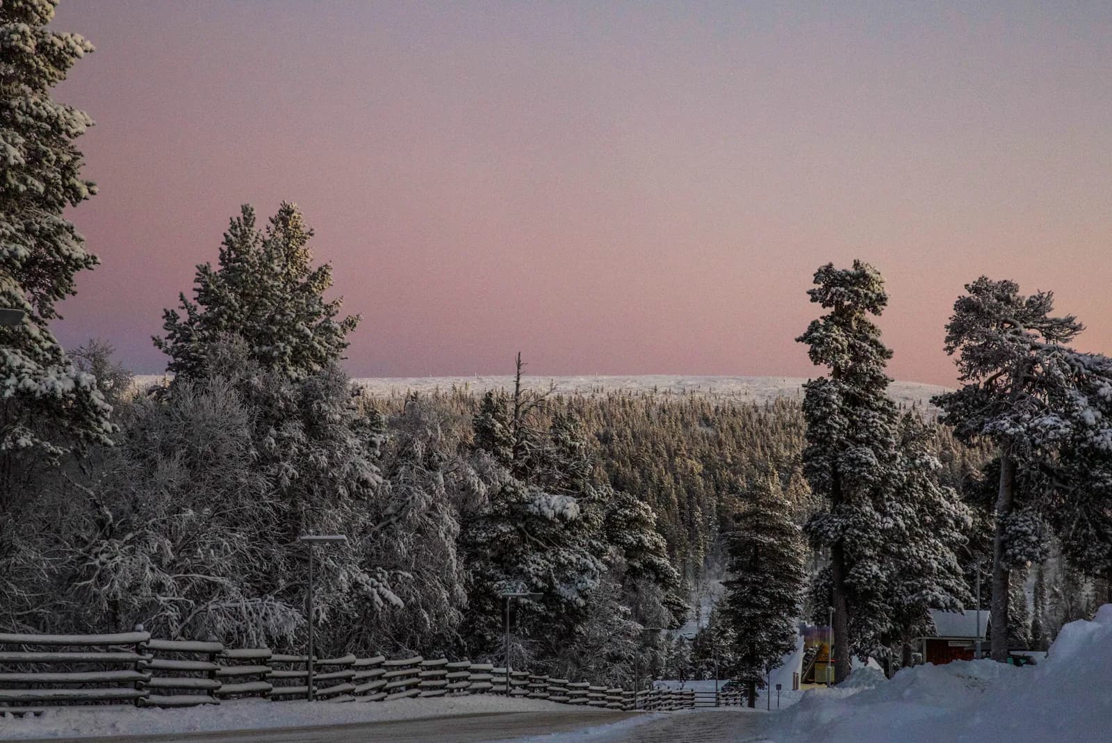 A snow covered road and frost laden pines at Saariselka in Finnish Lapland under a pink winter twilight