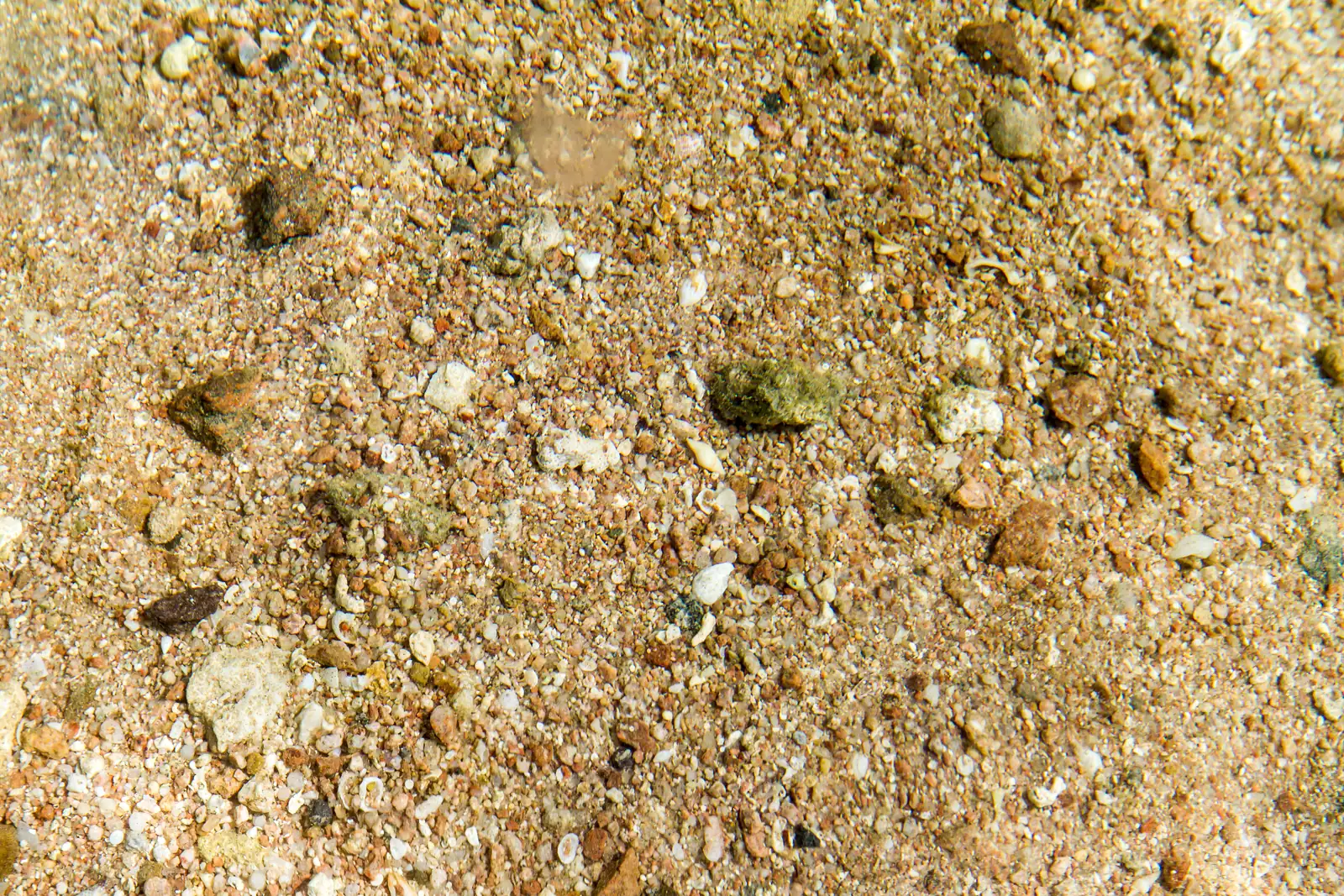 The Red Sea shoreline at Hurghada, the coast its resorts are spread along for 55 kilometres