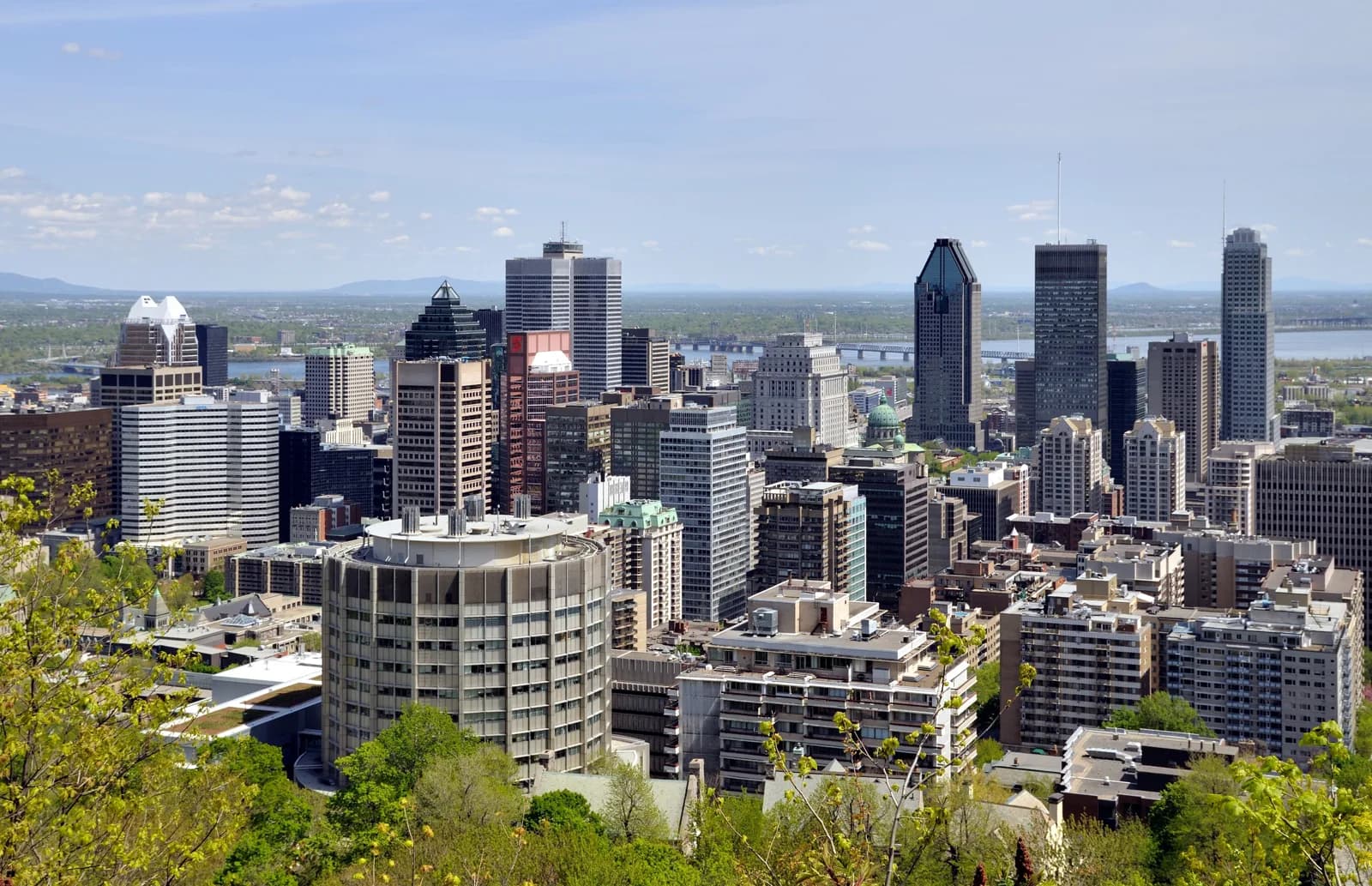 The Montreal skyline from Mount Royal, above the city's rooftop pools