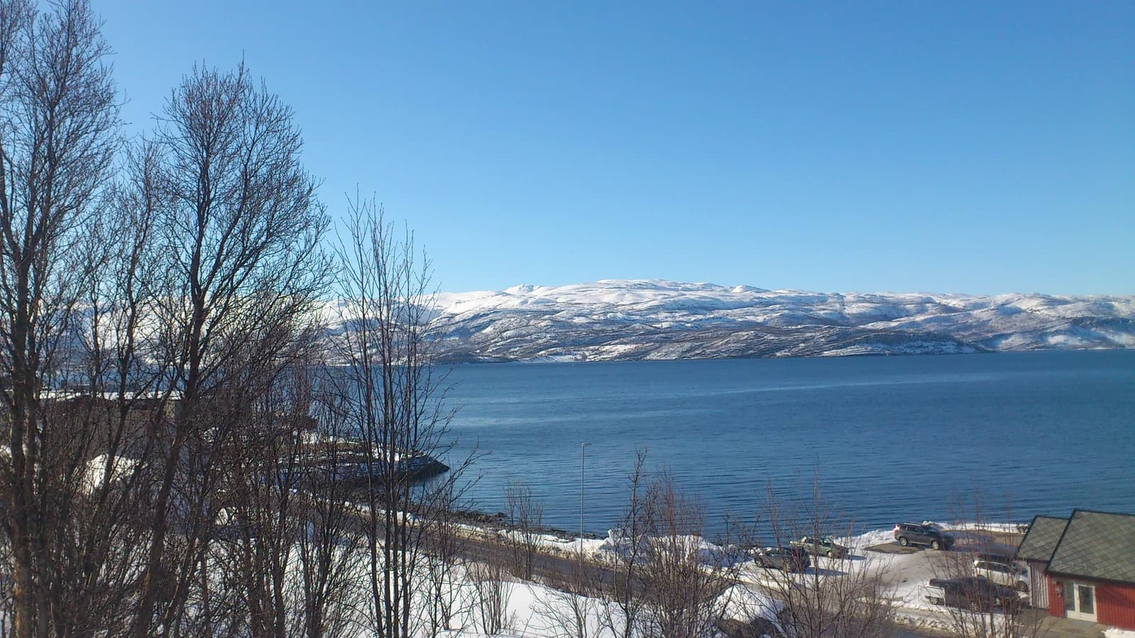 The Altafjord in winter seen through bare shoreline trees, with snow covered hills behind