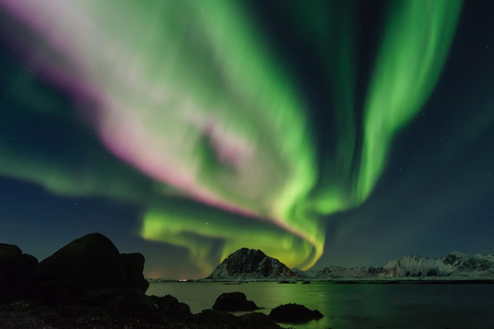 Green and pink northern lights over calm water and snowy peaks in the Lofoten islands