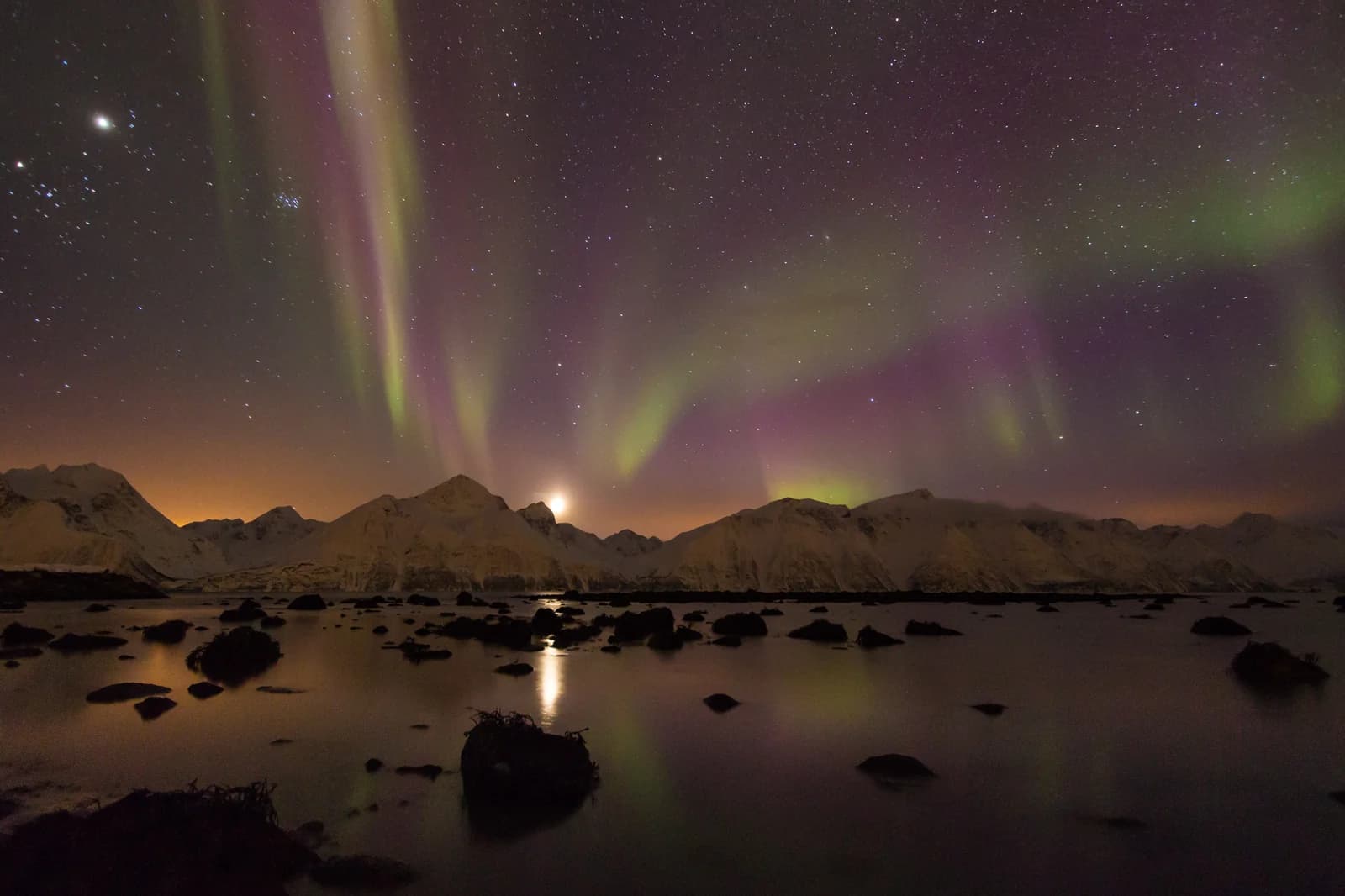 Purple and green northern lights over the snowy peaks and still water of the Lyngenfjord at Spakenes
