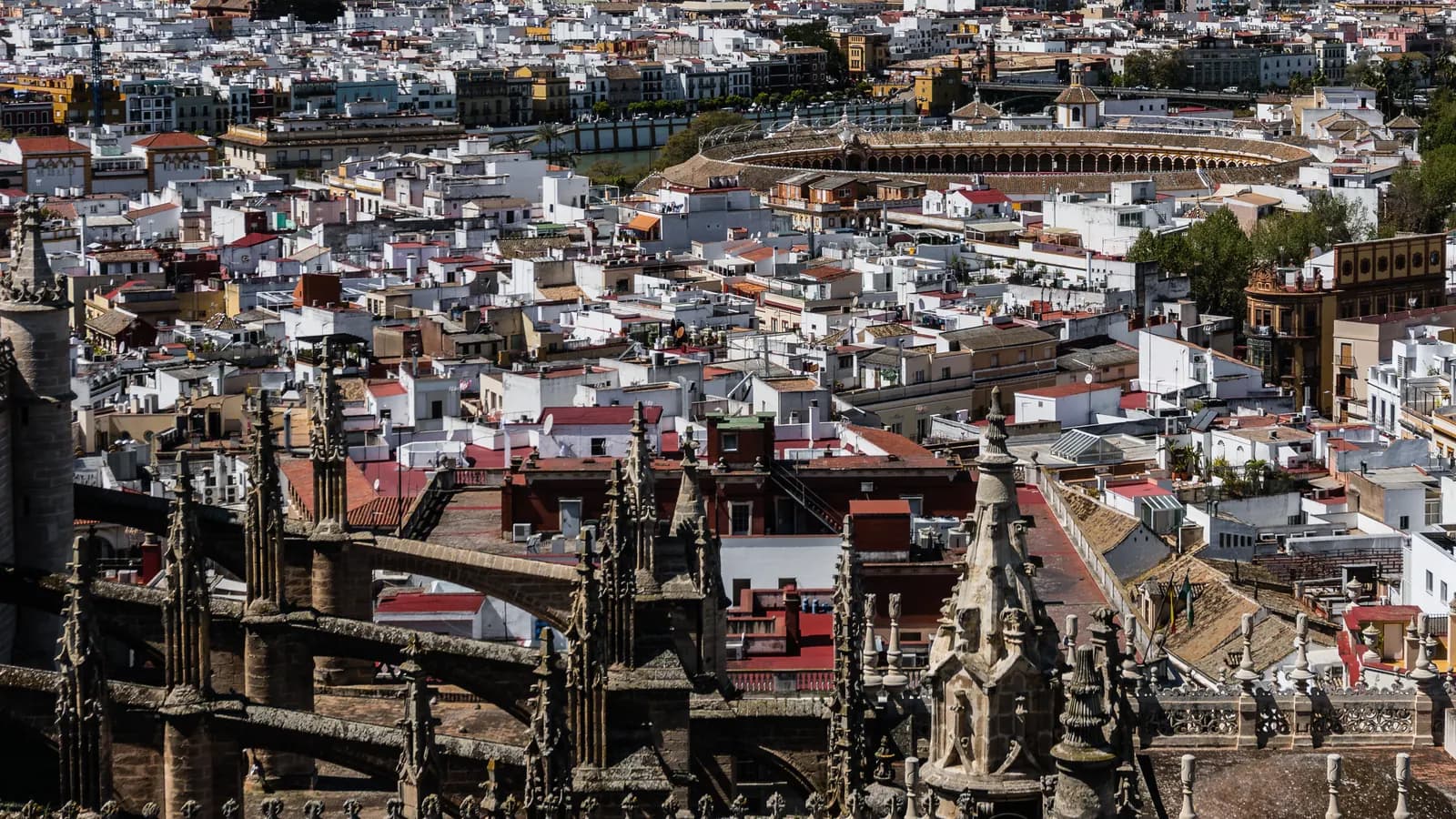 The rooftops of Seville seen from the cathedral, the bullring in the distance, the kind of roof terraces the city's hotel pools sit on