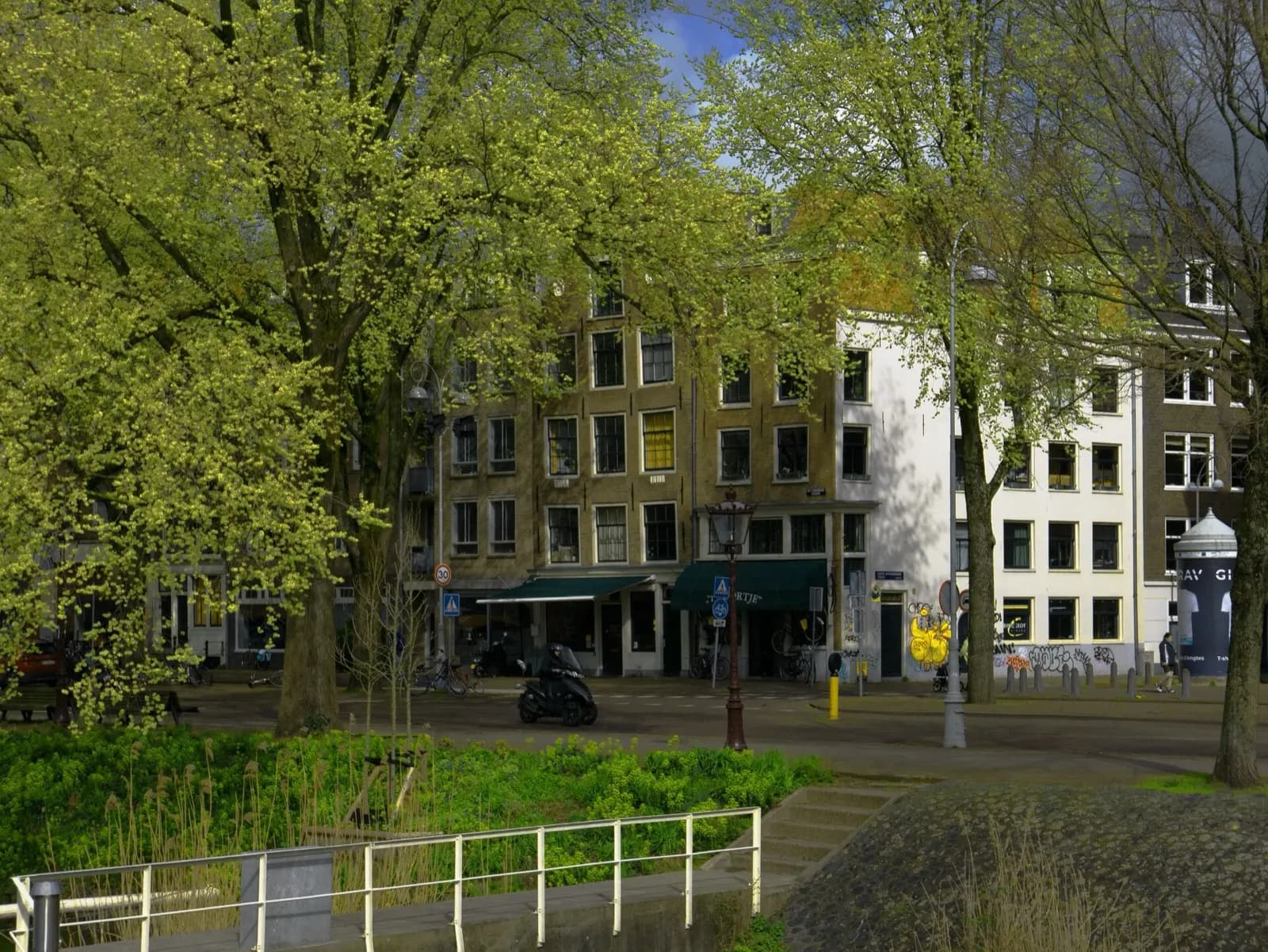 A canal-side street corner in Amsterdam with elm trees in spring leaf