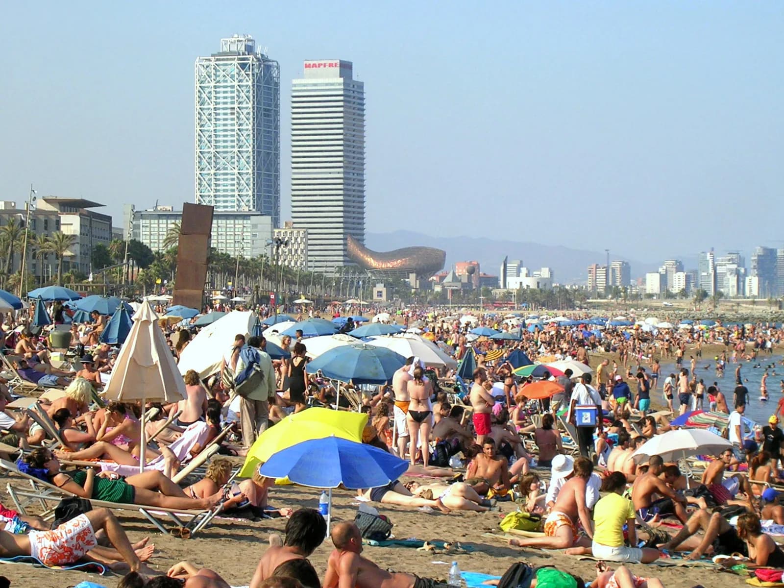 Barceloneta beach in Barcelona packed with umbrellas at the height of summer