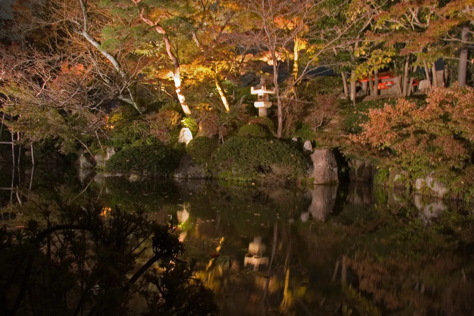 Autumn maples in full colour at a Kyoto temple garden