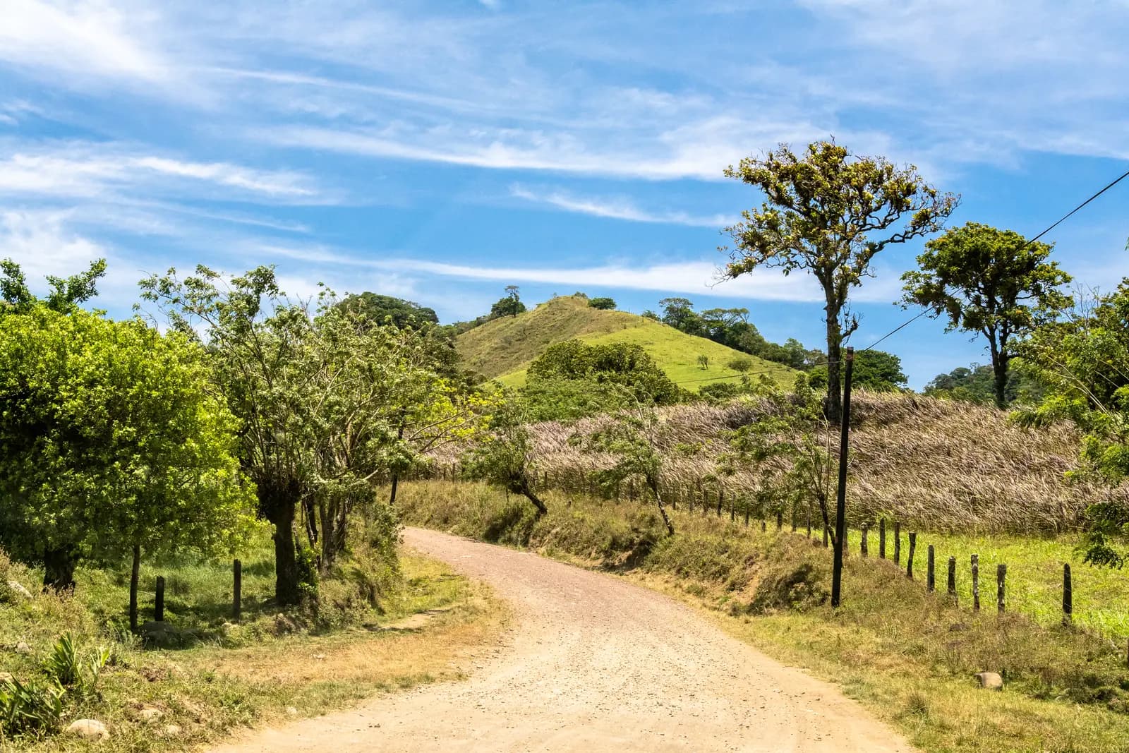 A country road curving through the green hills of Guanacaste, Costa Rica