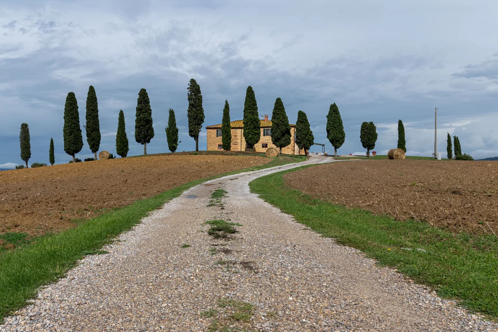 A gravel lane lined with cypress trees leading to a farmhouse in the Tuscan hills