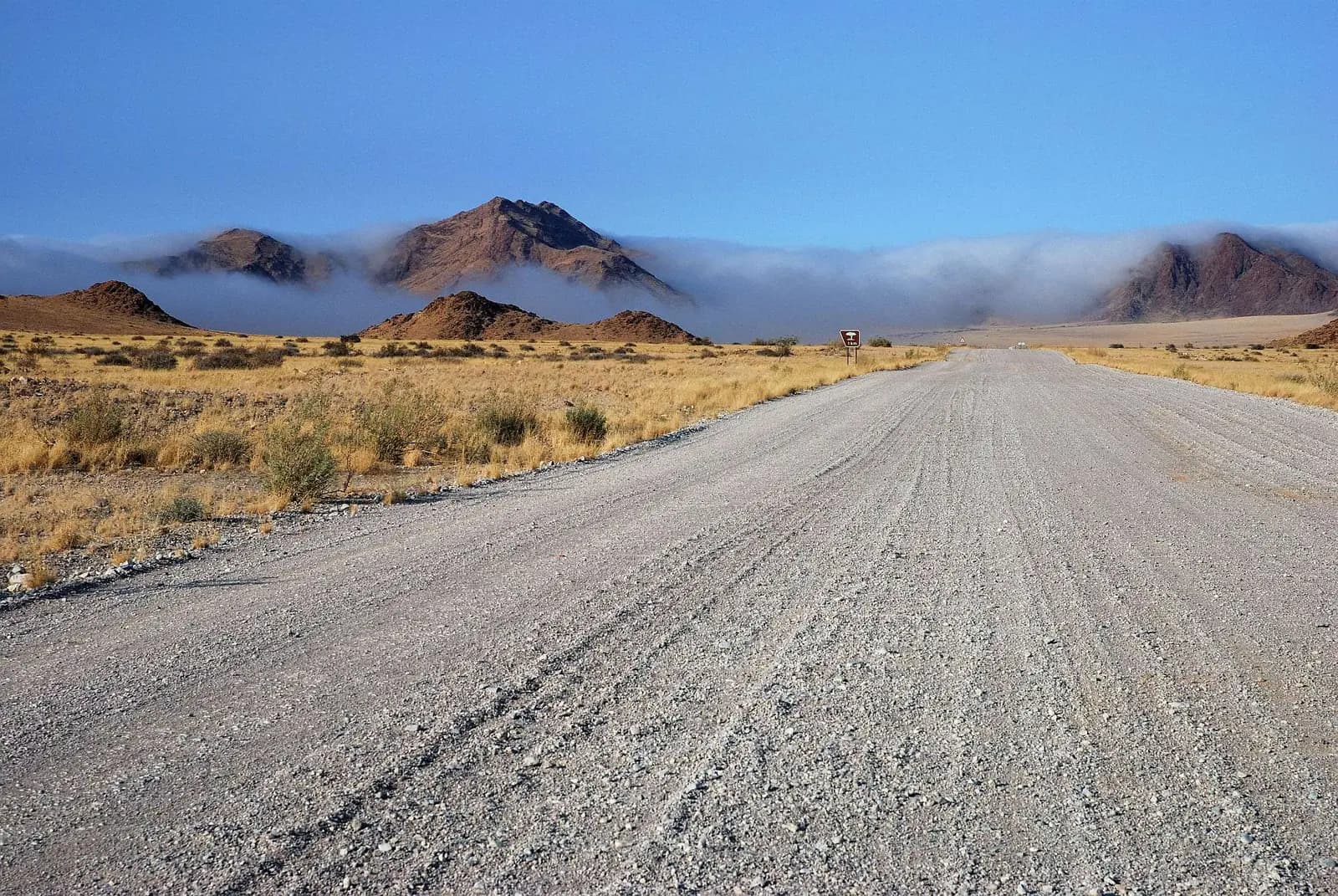 Morning fog drifting over the red dunes of the Namib Desert near Sossusvlei
