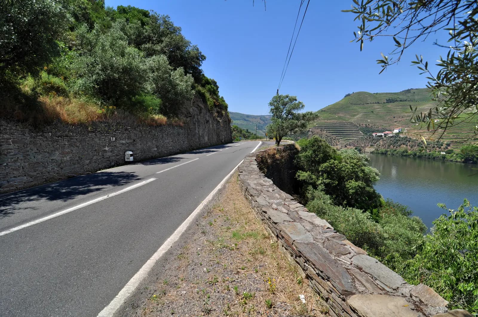 The scenic N222 road following the Douro river past terraced vineyards