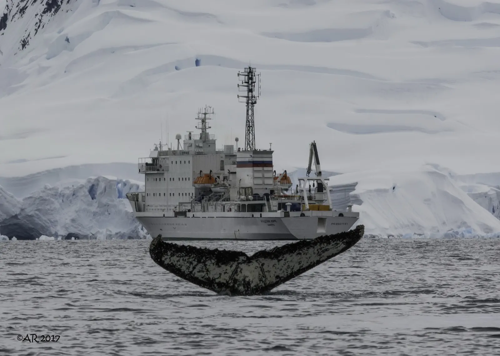 An expedition ship among icebergs off the Antarctic Peninsula