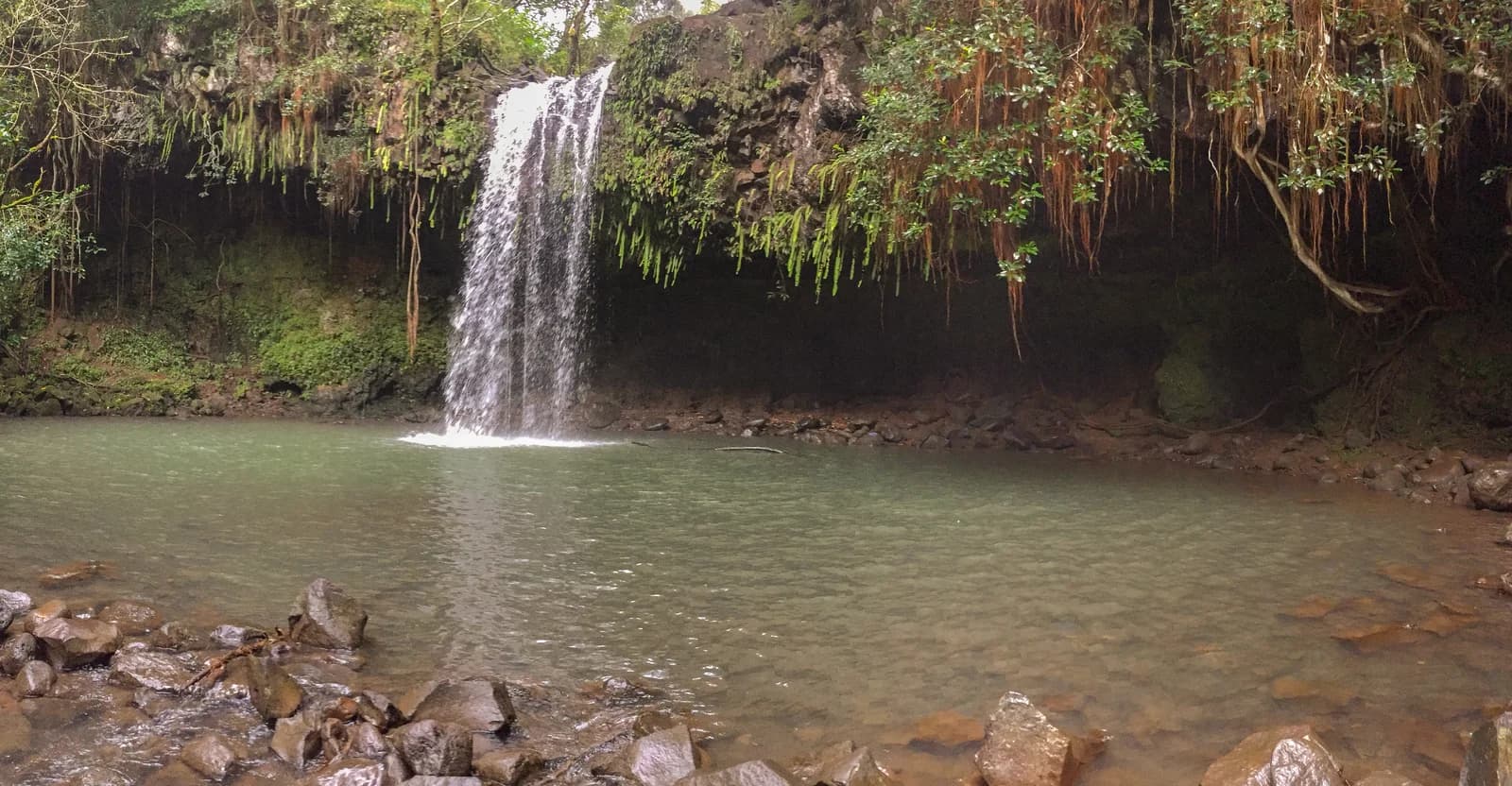 Road to Hana in Maui