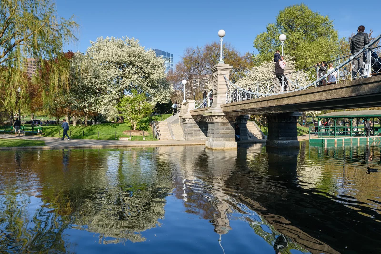 Boston Public Garden