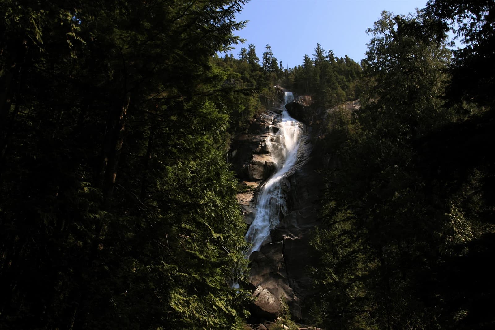 Shannon Falls dropping through the forest at Squamish, an hour up the Sea to Sky highway from Vancouver