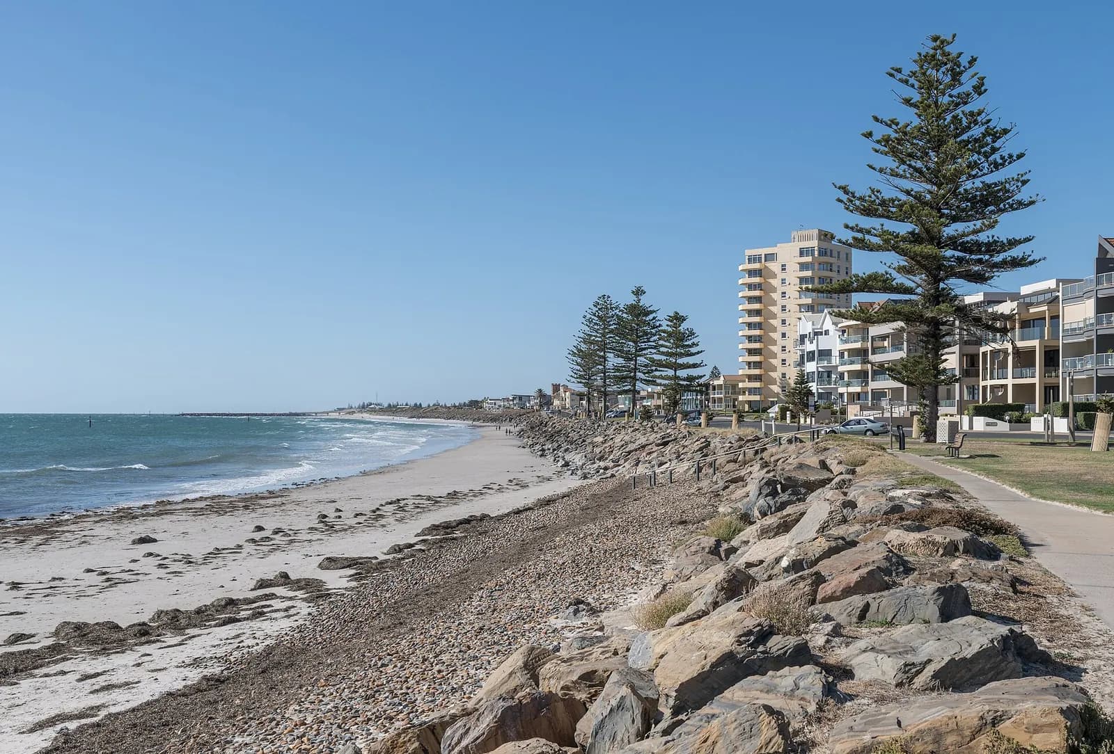 The Glenelg North beachfront in Adelaide, with the seawall walkway, Norfolk Island pines and the beachfront apartment blocks behind the sand