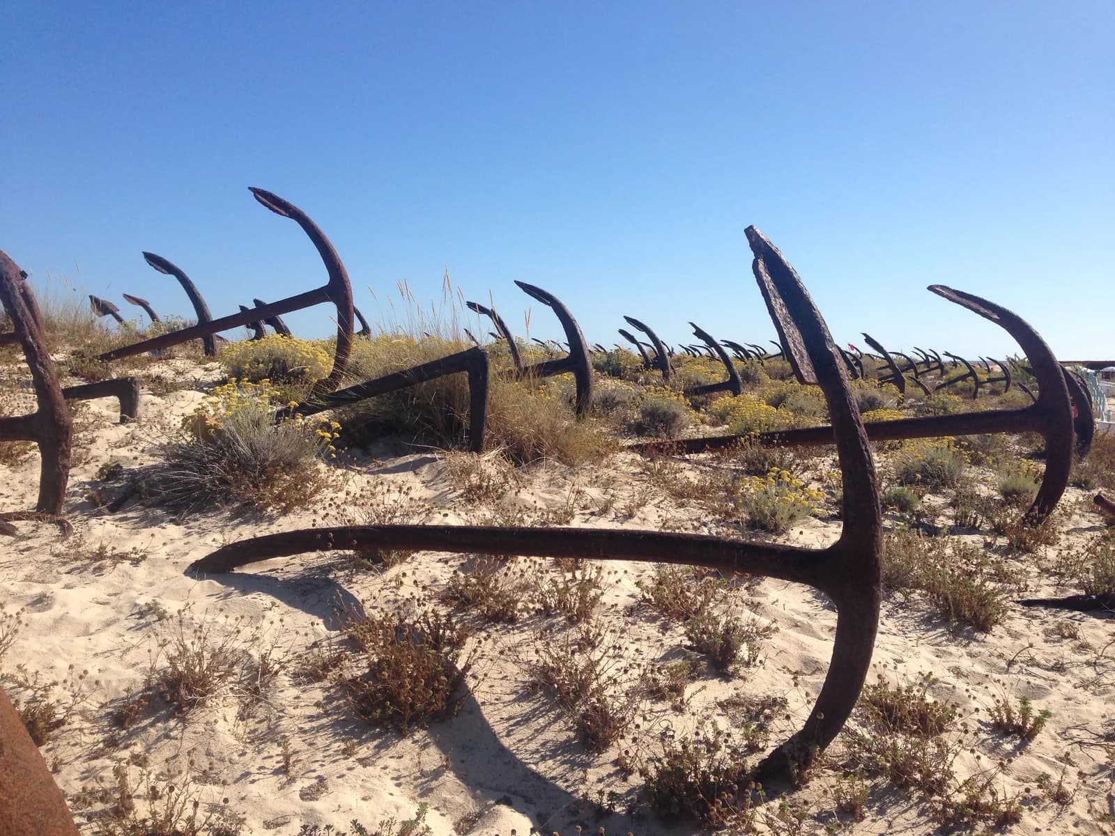 Rows of old tuna-fishing anchors in the dunes at Praia do Barril near Tavira