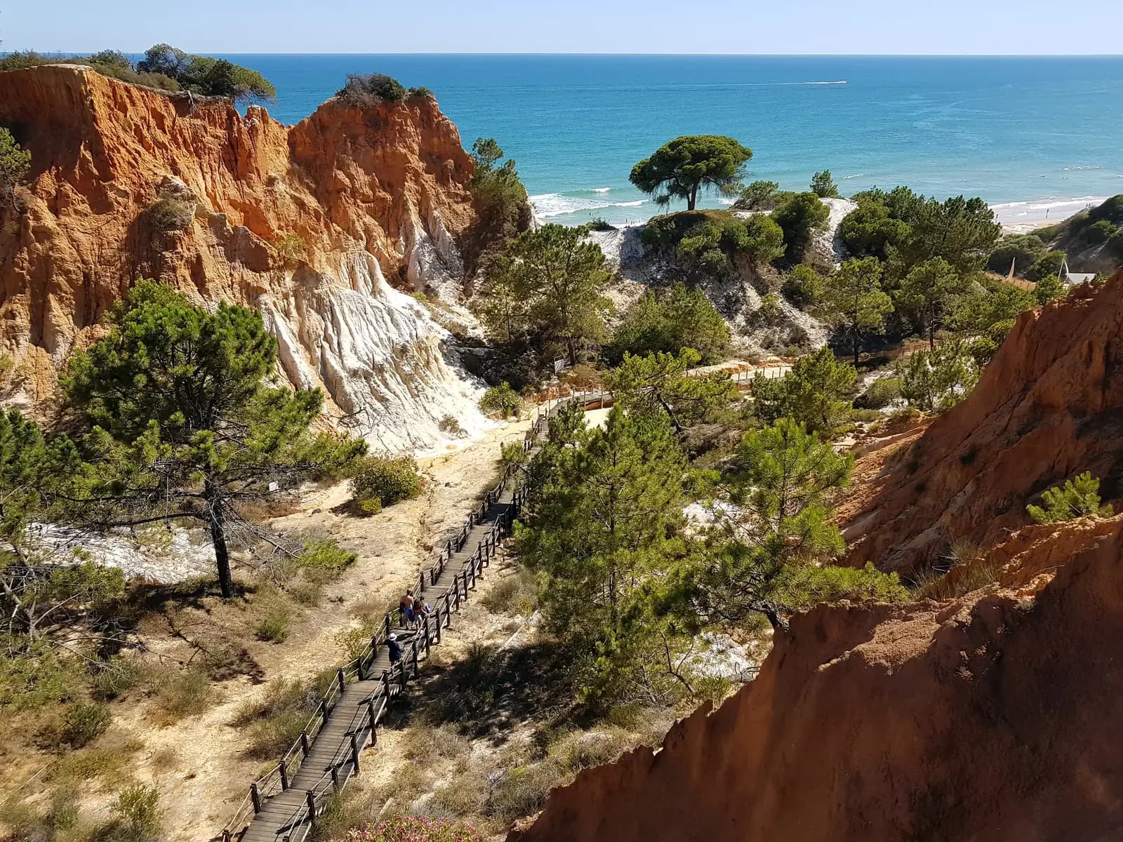 A wooden walkway through pines and red cliffs down to Praia da Falesia