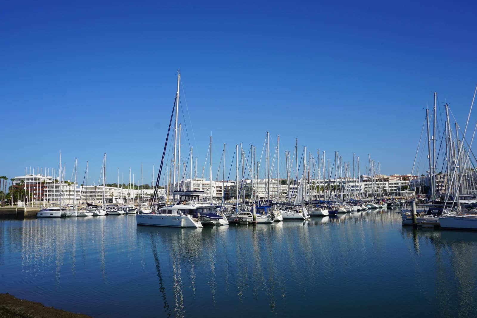 Sailing boats moored in the marina at Lagos at the western end of Meia Praia