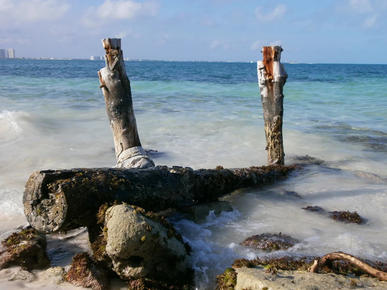 Weathered wooden posts in the water at Playa Langosta, a public beach at km 5 of the Hotel Zone