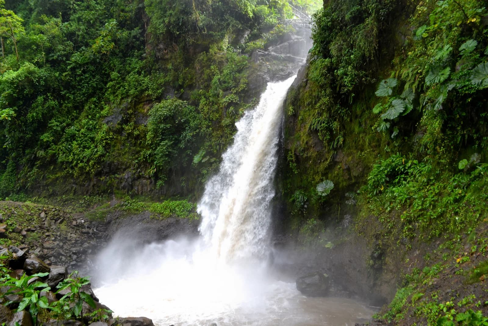 La Paz Waterfall dropping through cloud forest near Vara Blanca in Heredia