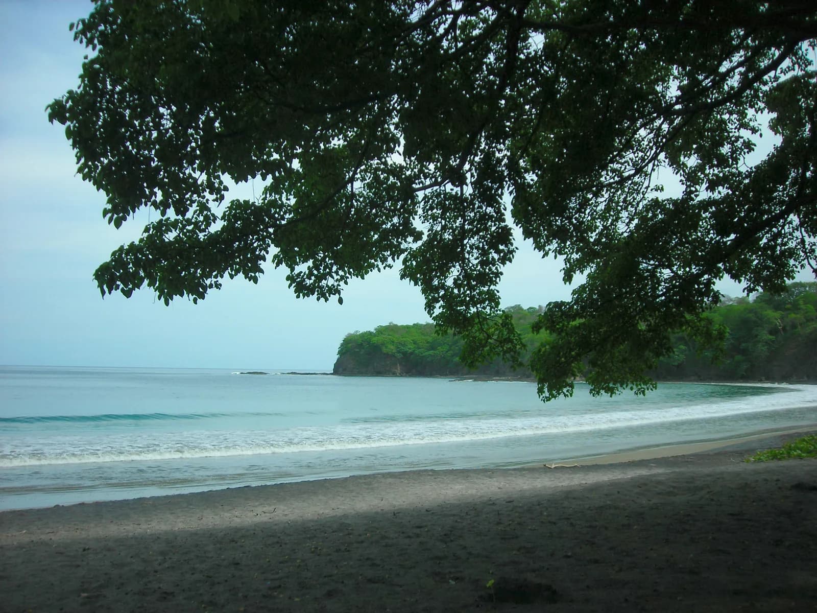 Bahia Prieta on the Papagayo Peninsula in Guanacaste, framed by an overhanging tree